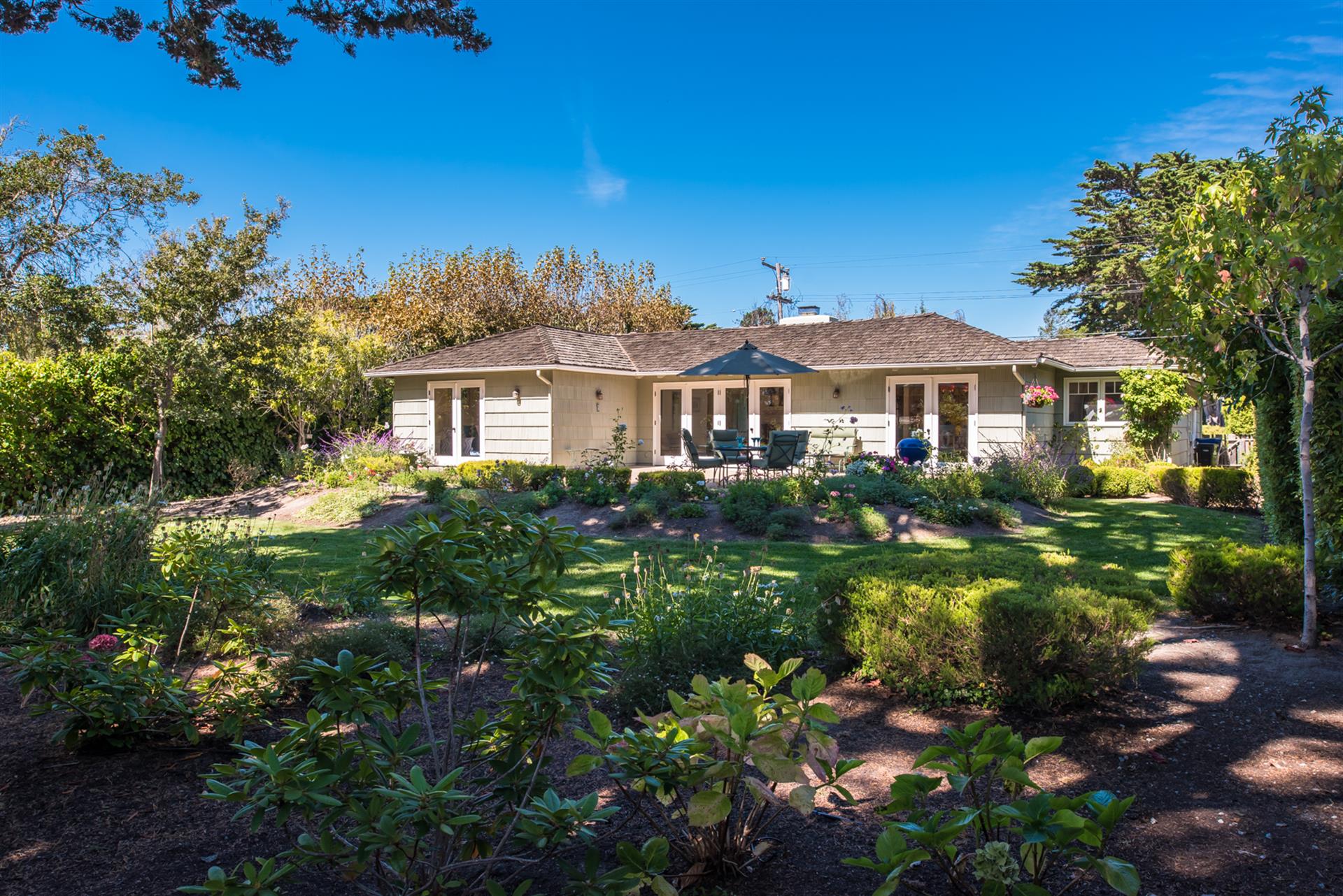 Lush Backyard Garden