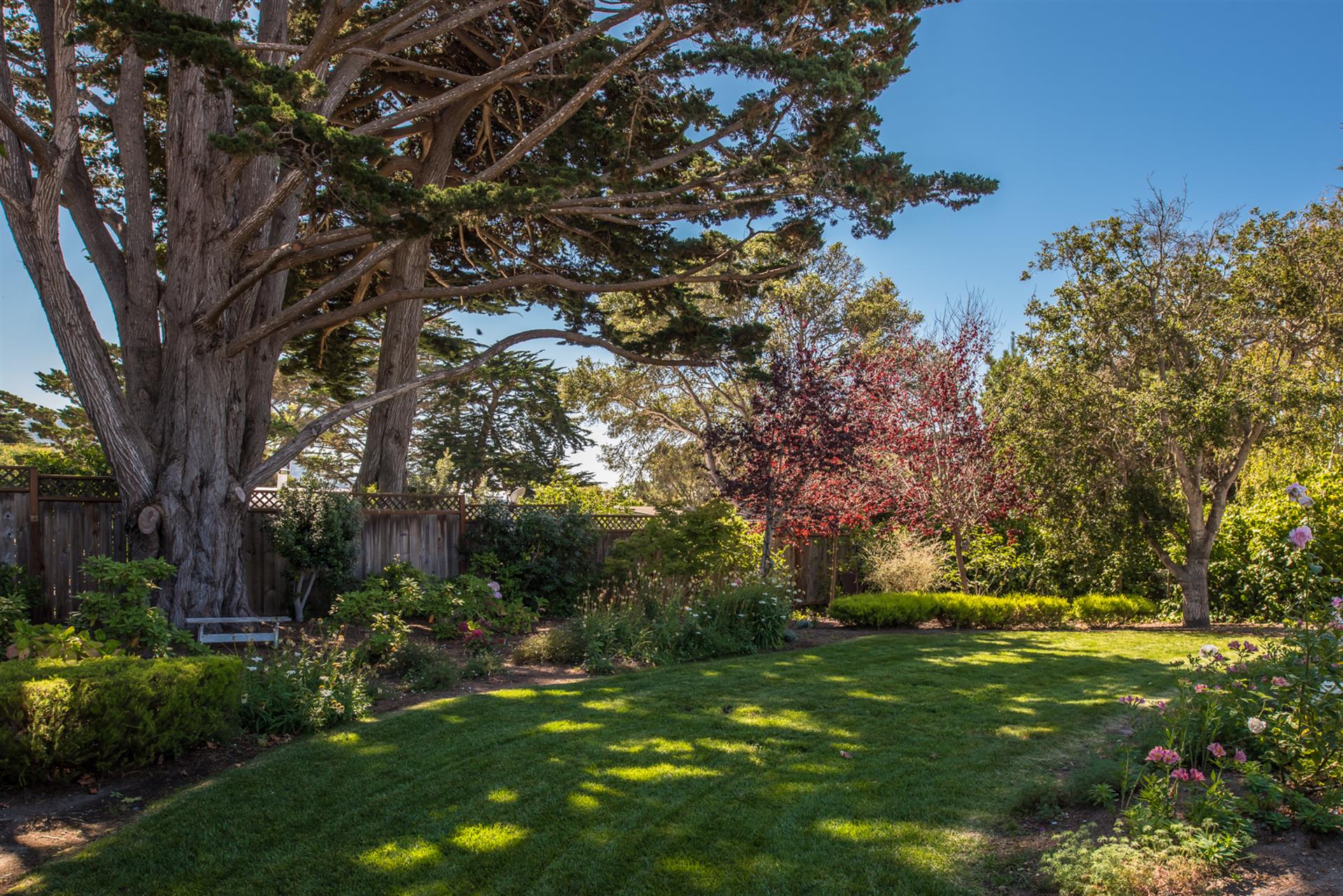 Backyard is Fenced and Landscaped for Privacy