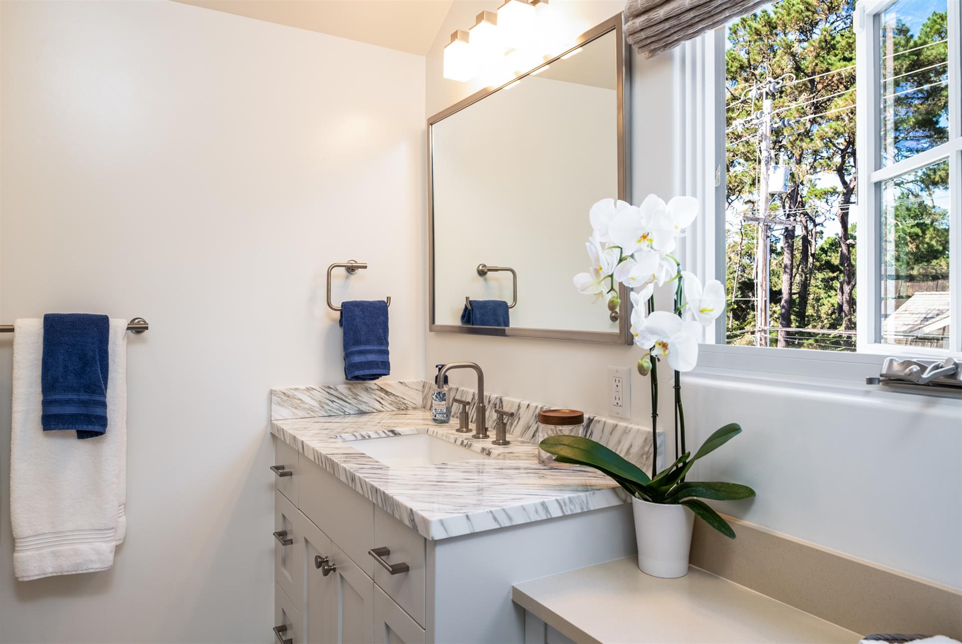 Downstairs Guest Bath with Shower