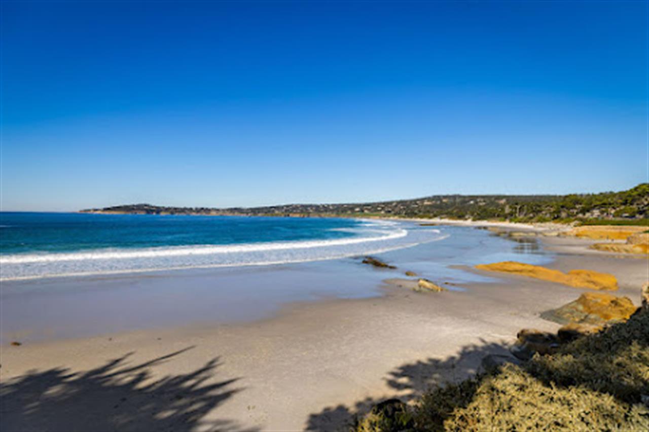 Dog Friendly Carmel Beach