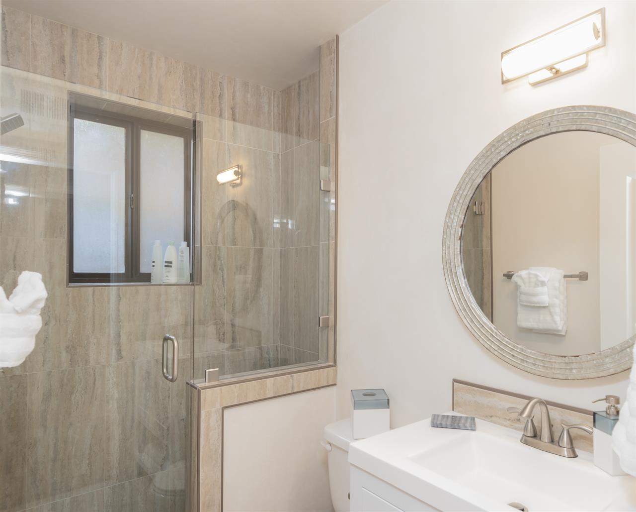 Lower Level Bathroom with Shower