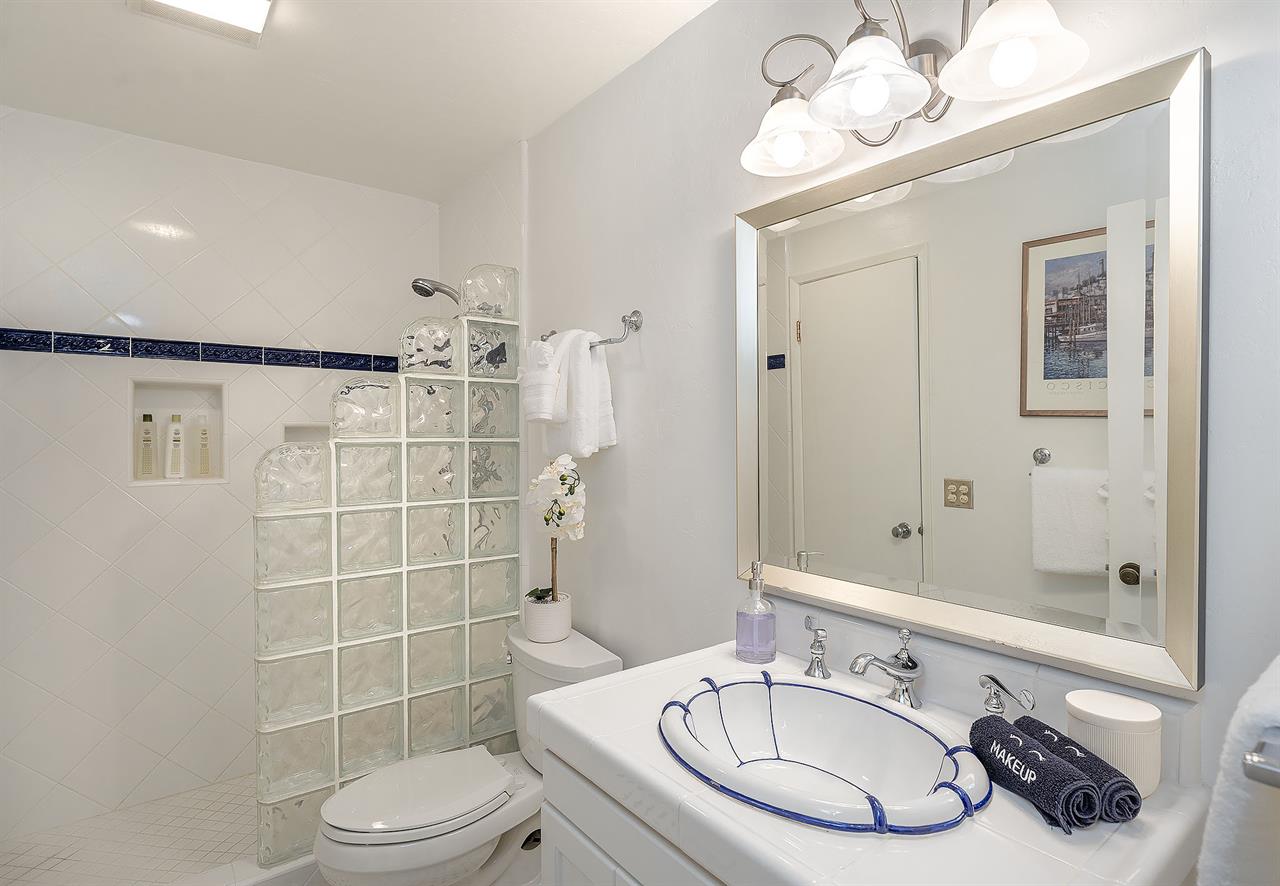 Full Bathroom has a StepIn Shower