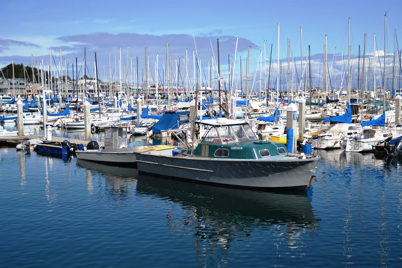 Monterey Harbor