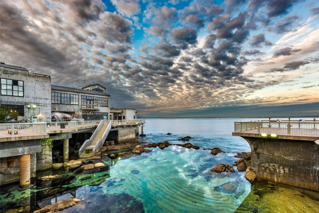 Monterey Bay Aquarium