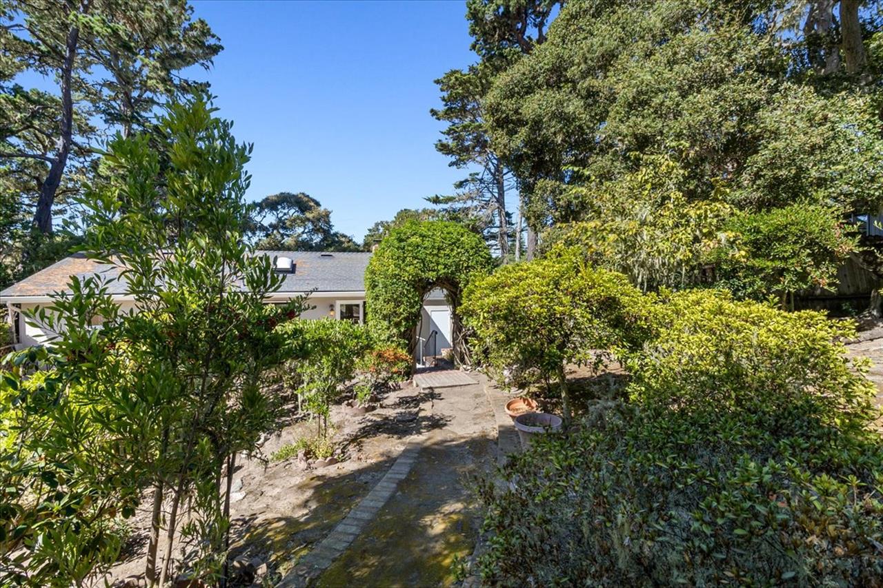 Lots of Wonderful Trees