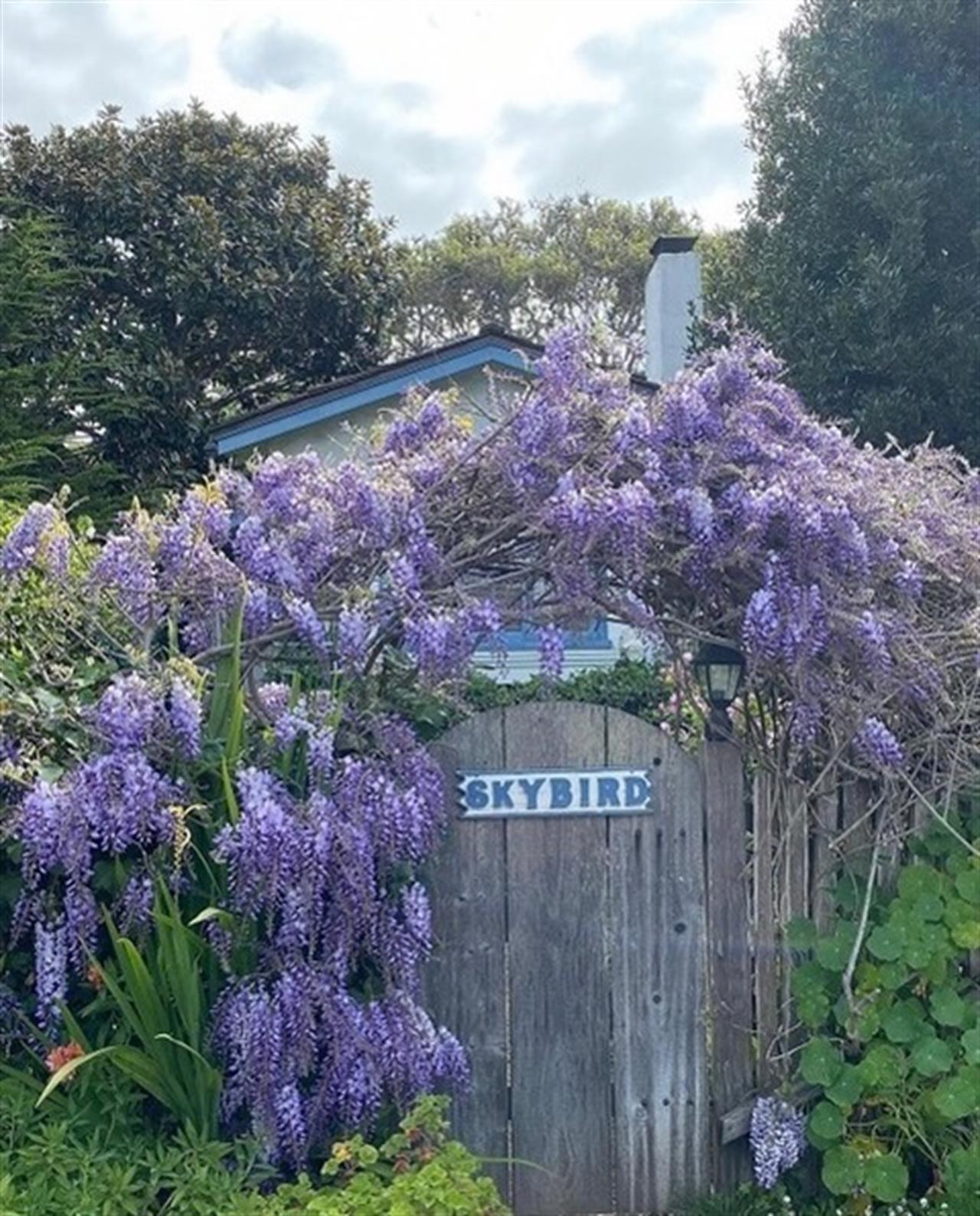 Welcome to Skybird Enter Through the Wooden Gate