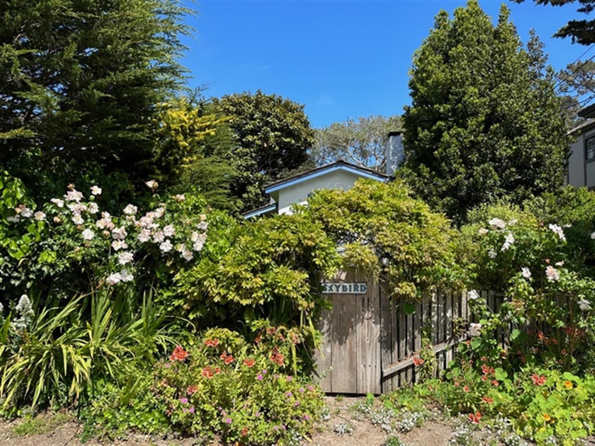 Privacy Fencing and Mature Landscaping Surrounds the Home