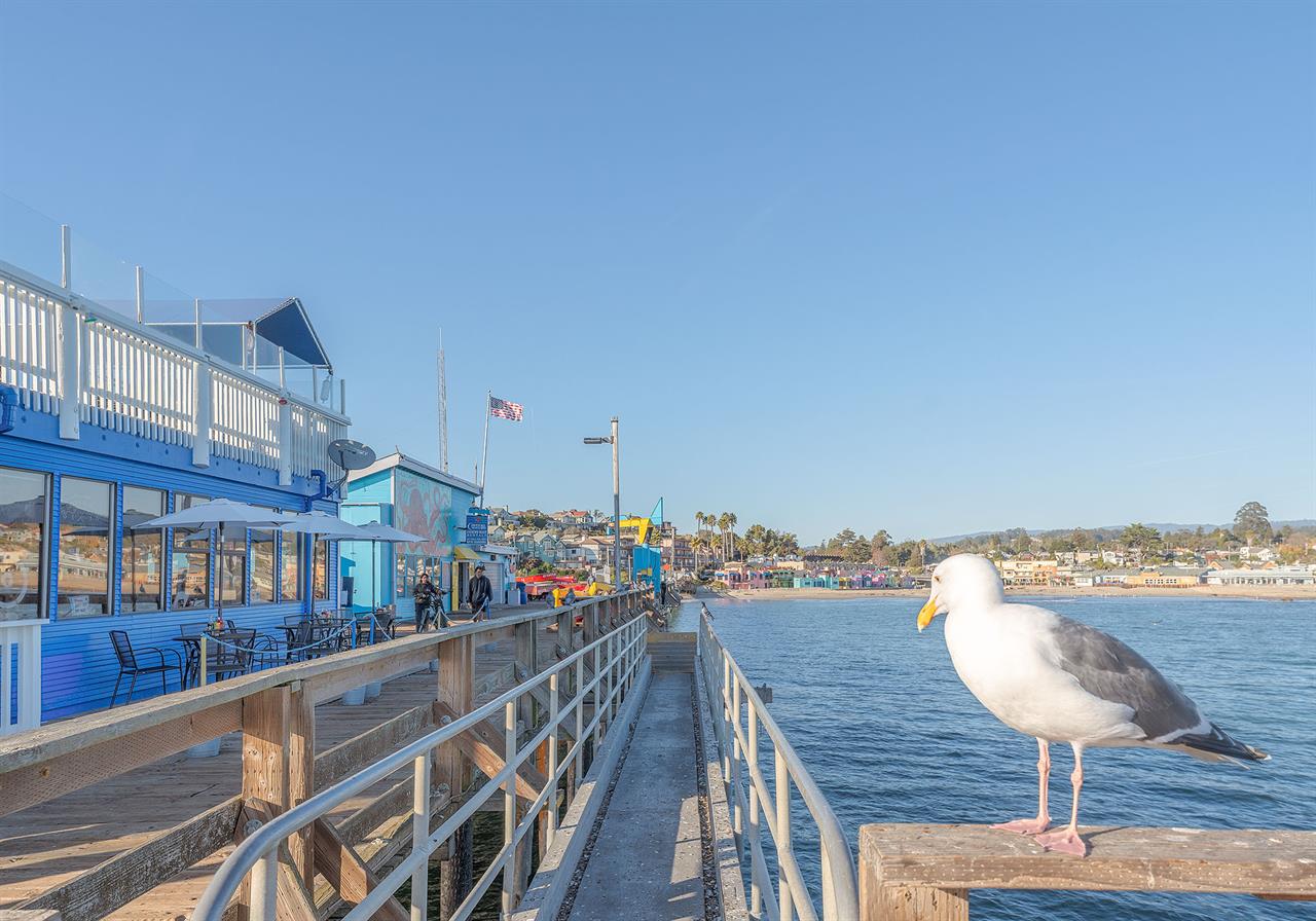 Visit Fishermans Wharf and Nearby Attractions