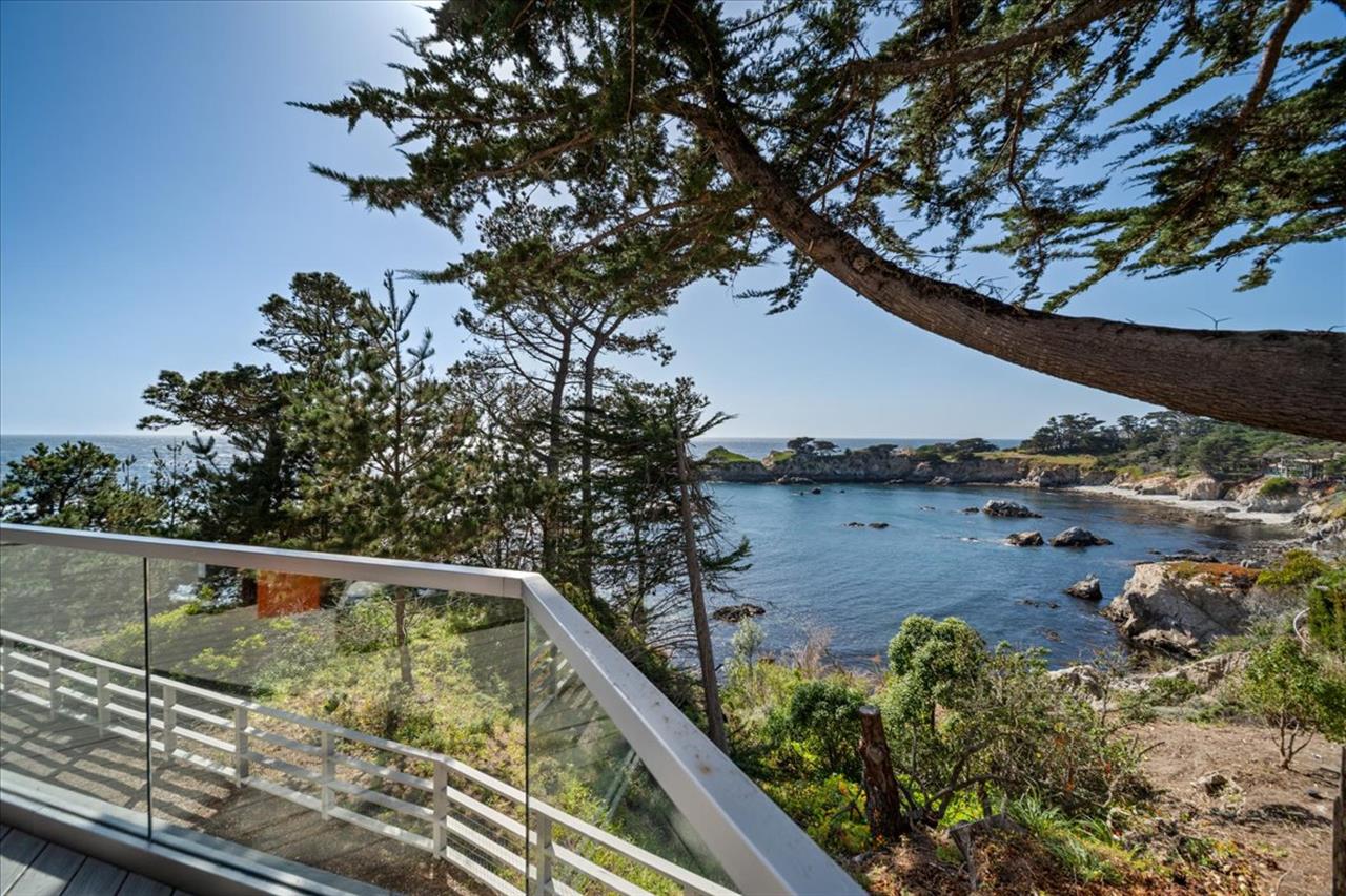 Another View from the Deck