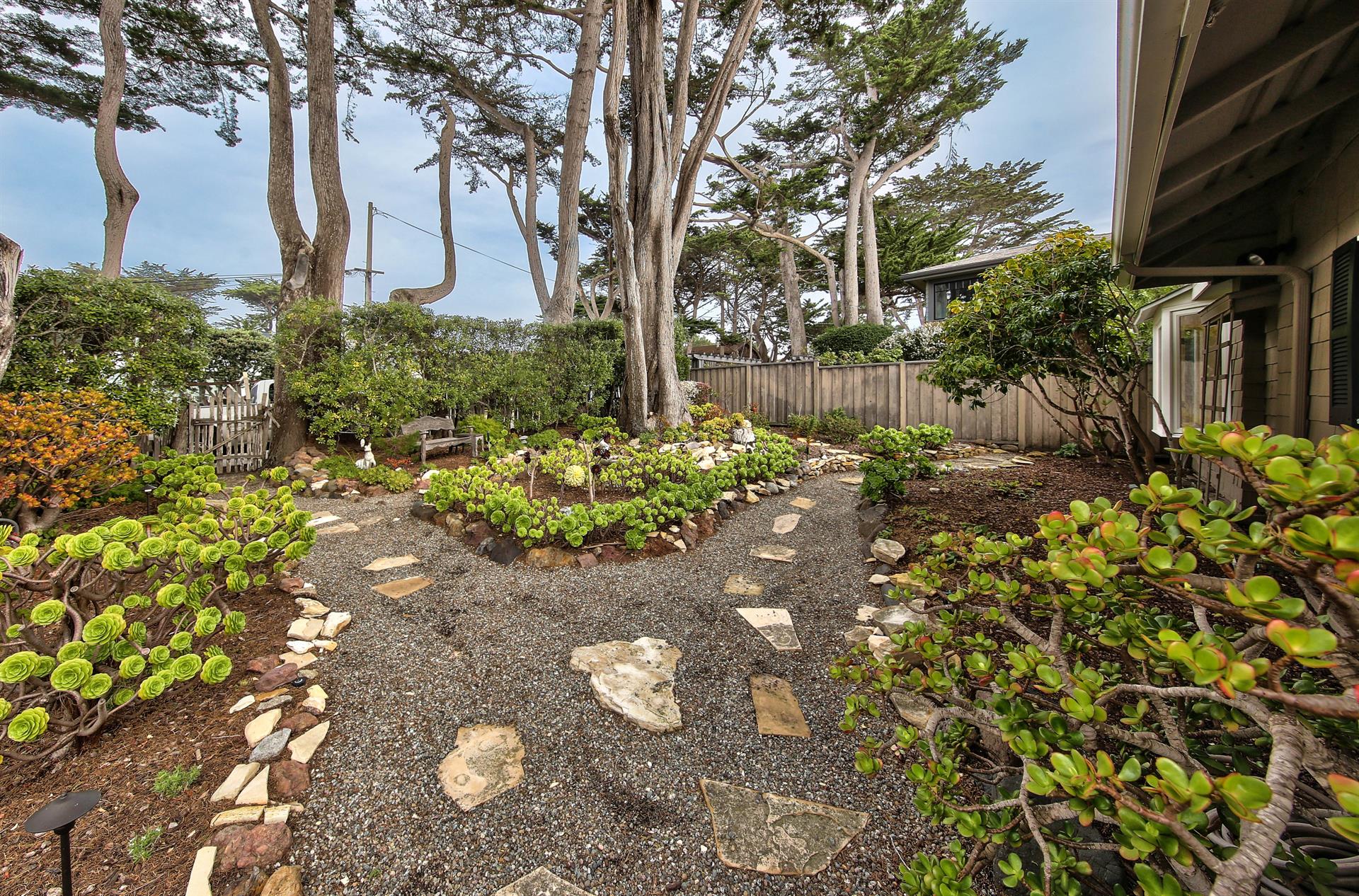 Take a Stroll Through the Garden