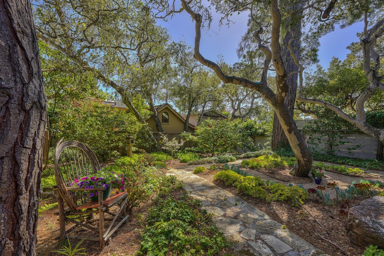 A Lovely Mature Garden Surround the Home