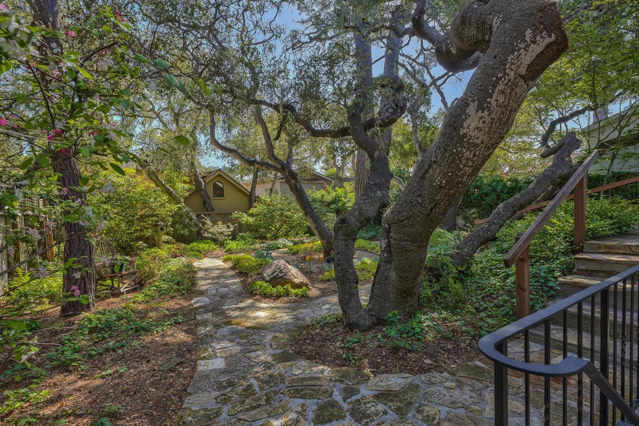 A Lovely Mature Garden Surround the Home