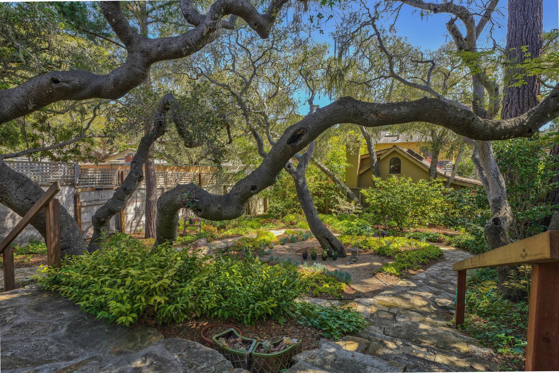 A Lovely Mature Garden Surround the Home