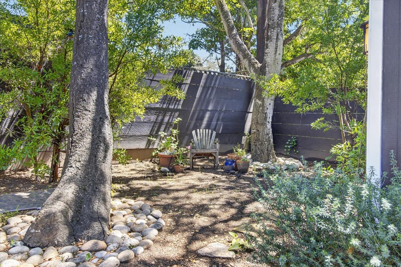 Sit Awhile and Listen to the Birds Sing