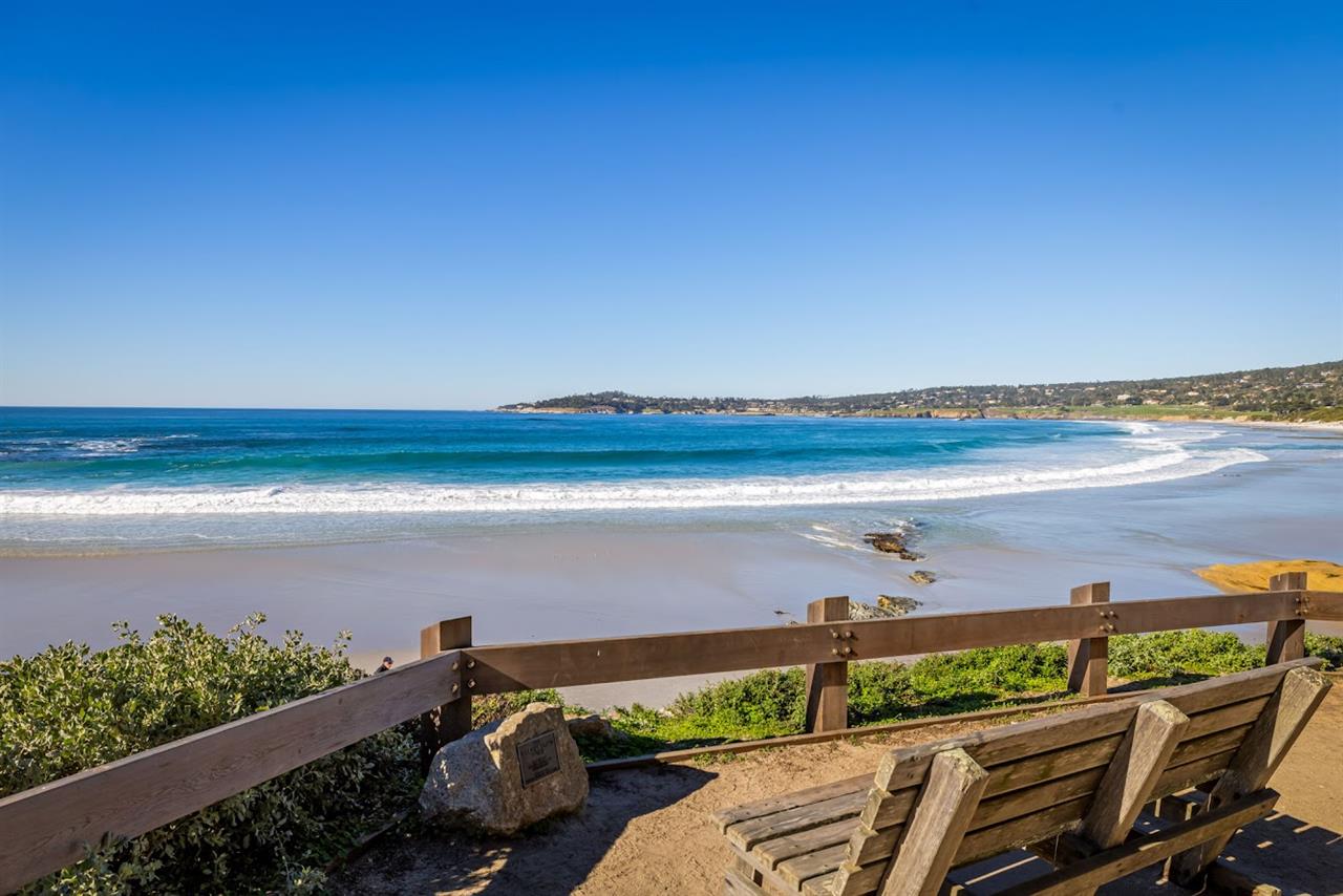 Carmel Beach  Doggie Heaven