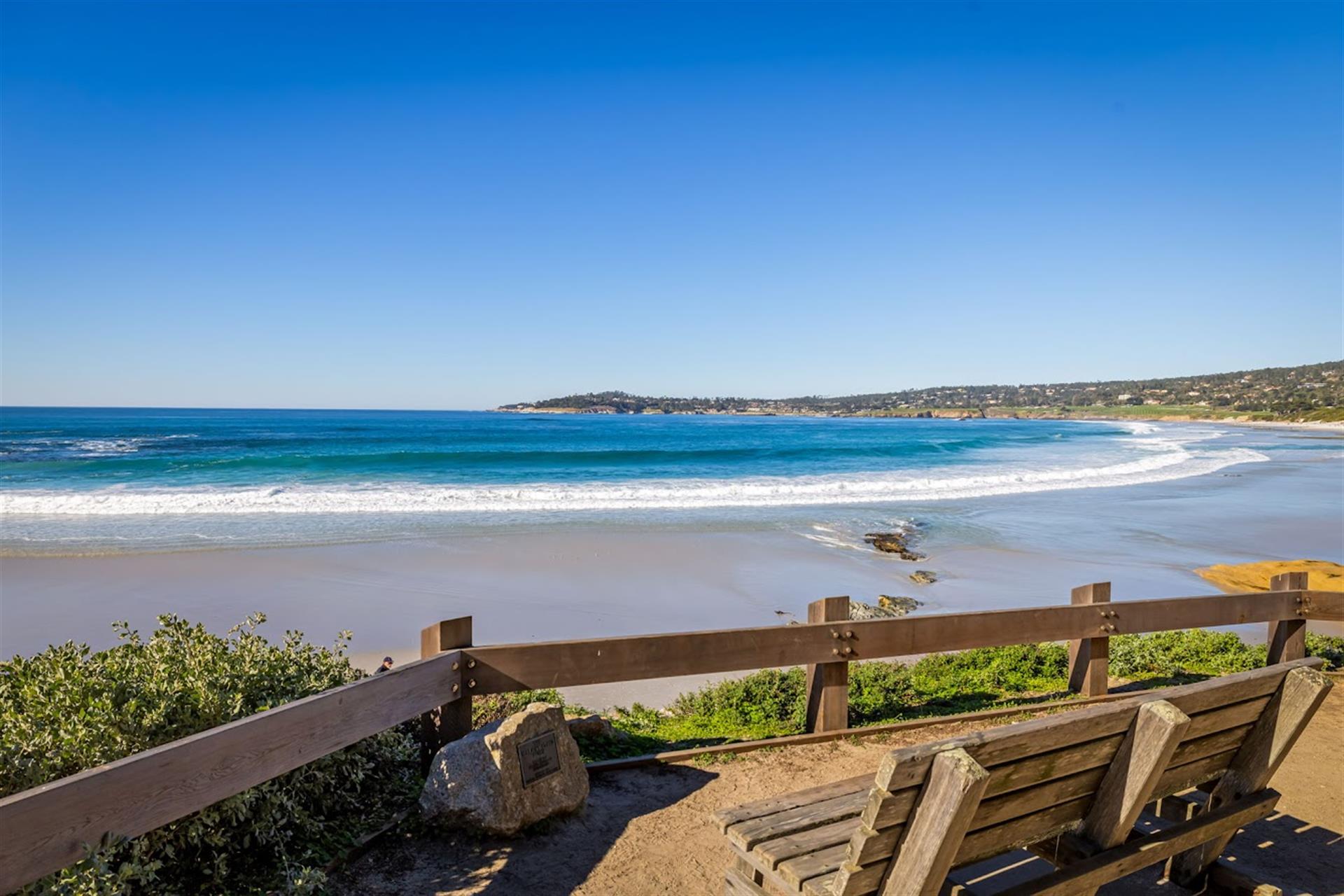 Carmel Beach  Doggie Heaven