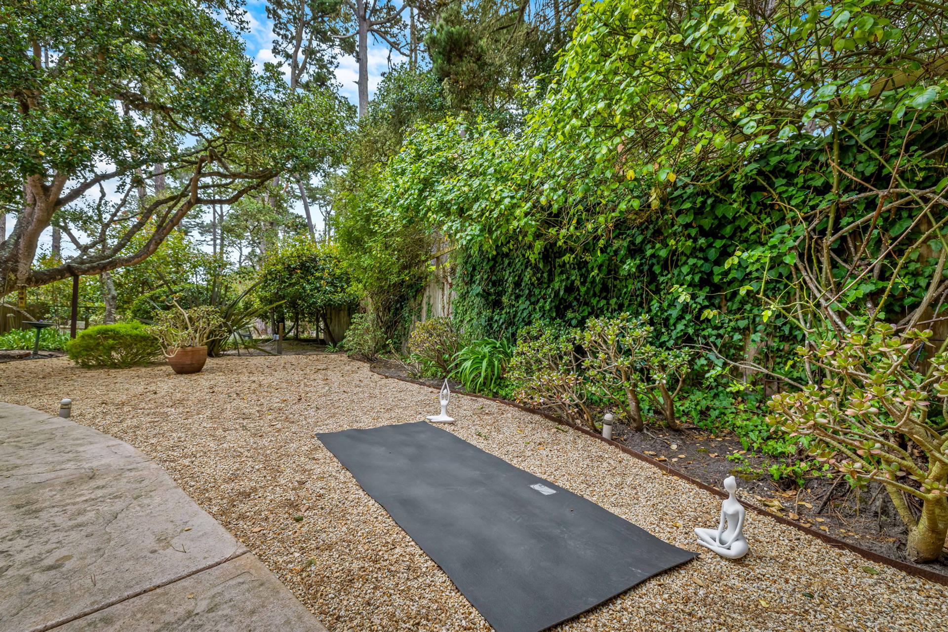 Yoga Anyone