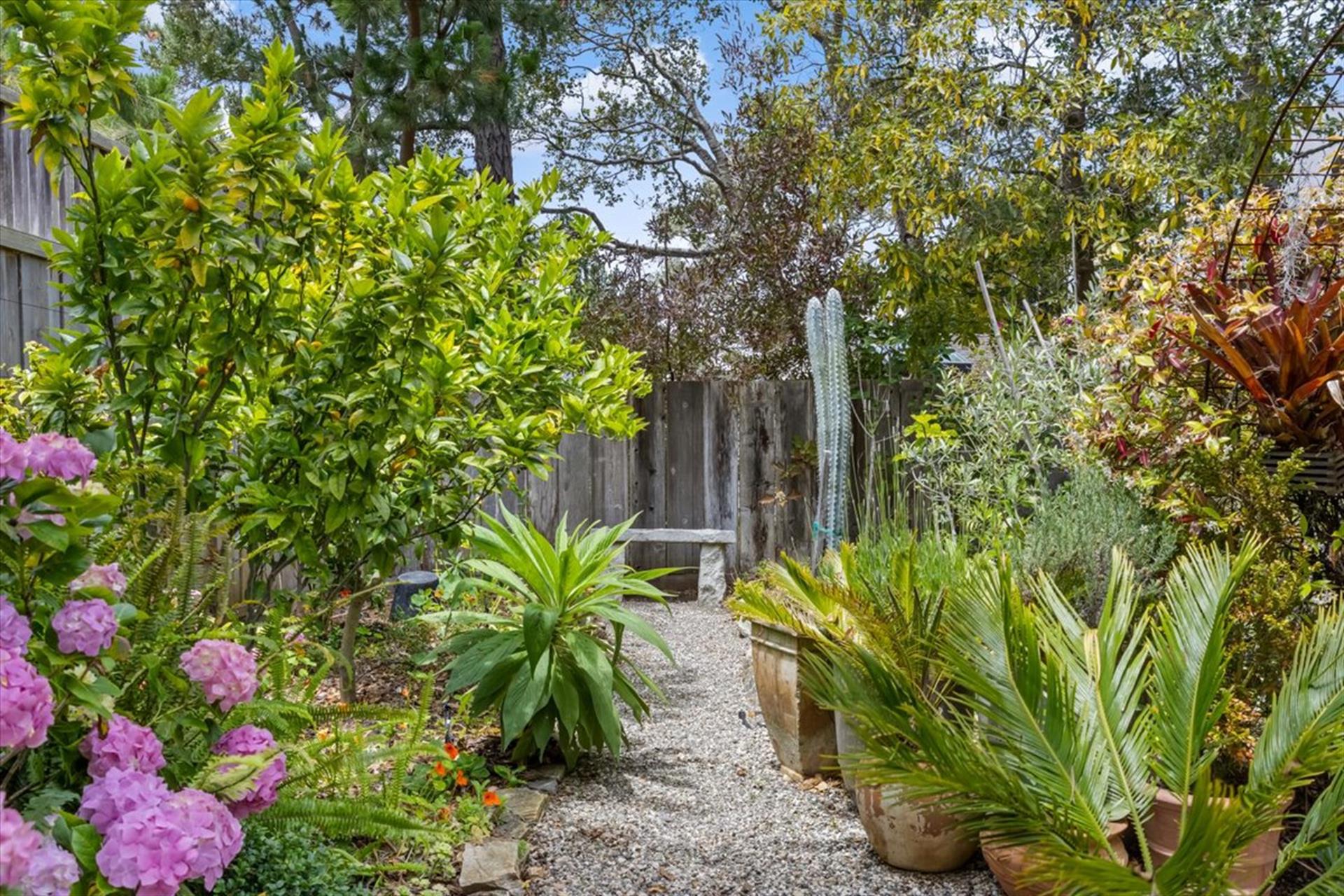 Lush Landscaping Everywhere