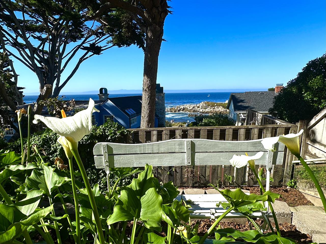 Monterey Bay Views