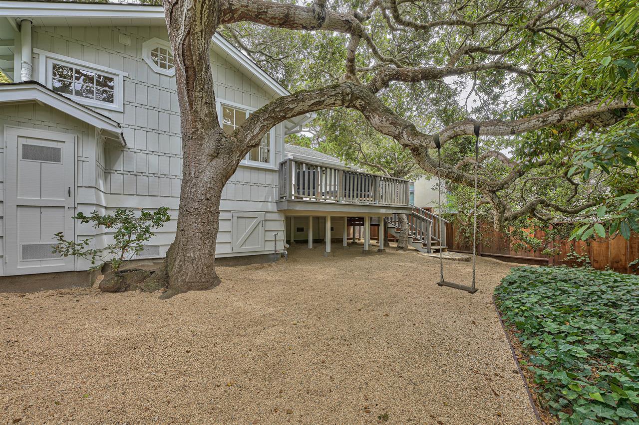 Relax Under the Tree Canopy