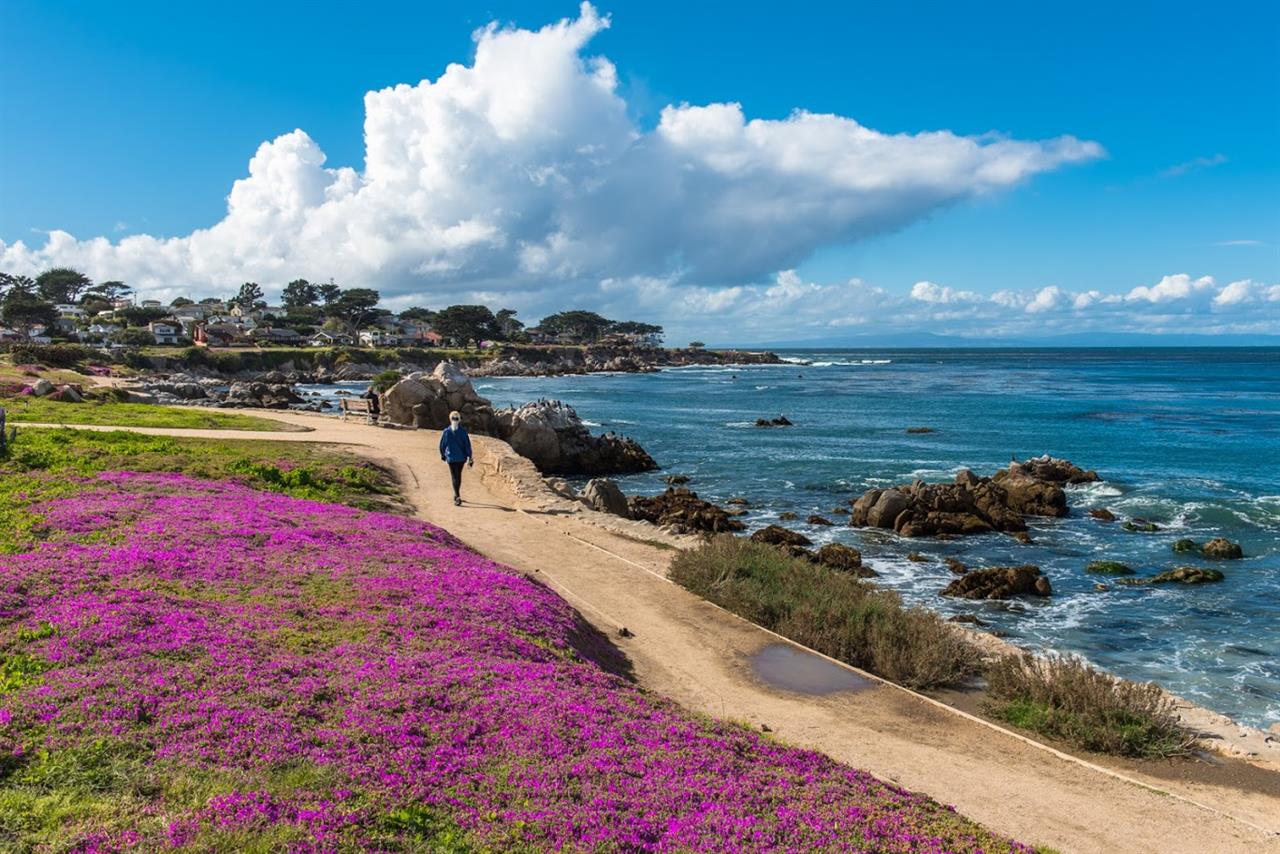 The Recreation Trail in Pacific Grove