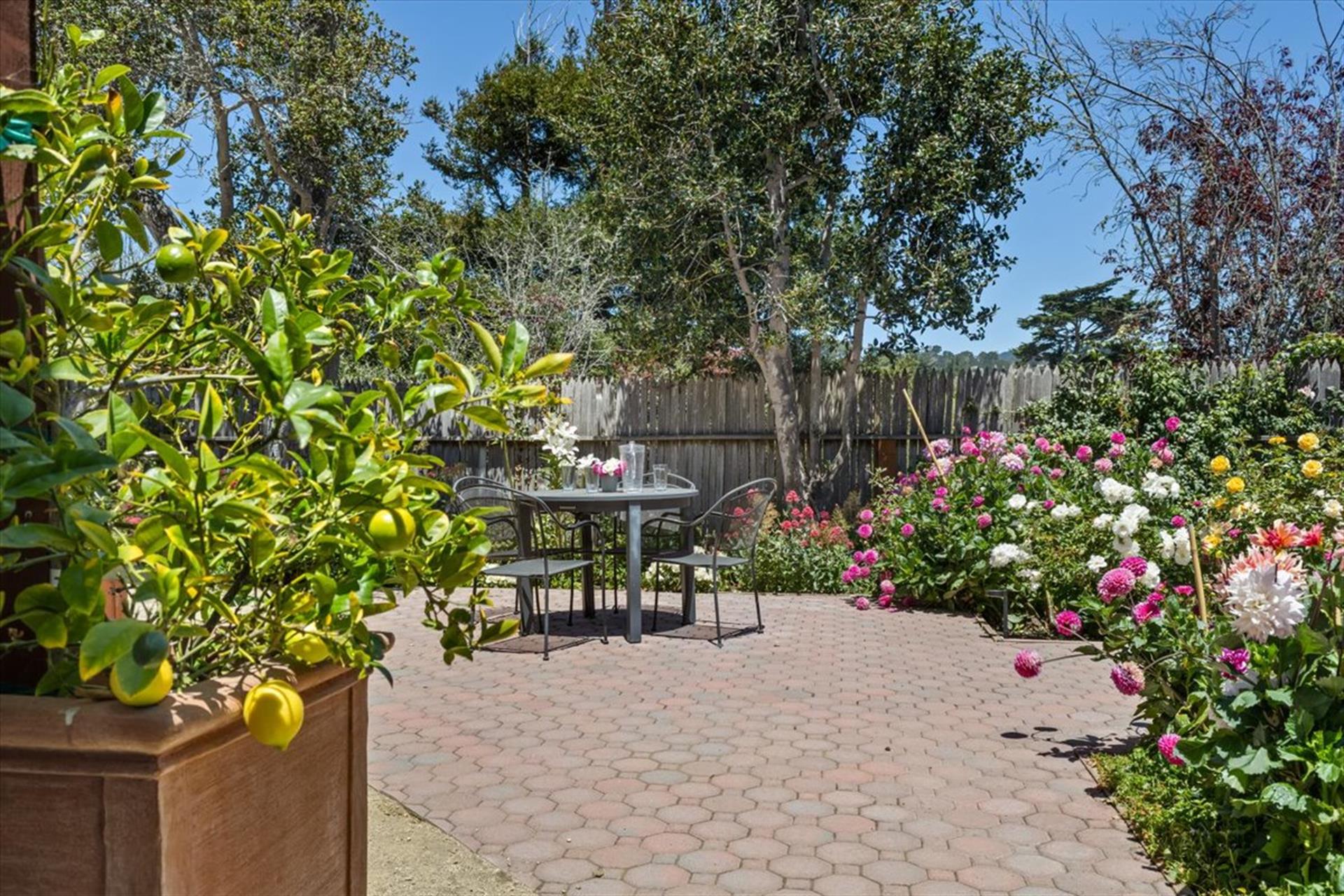 Back Yard with Patio, Garden and Lovely Lemon Tree