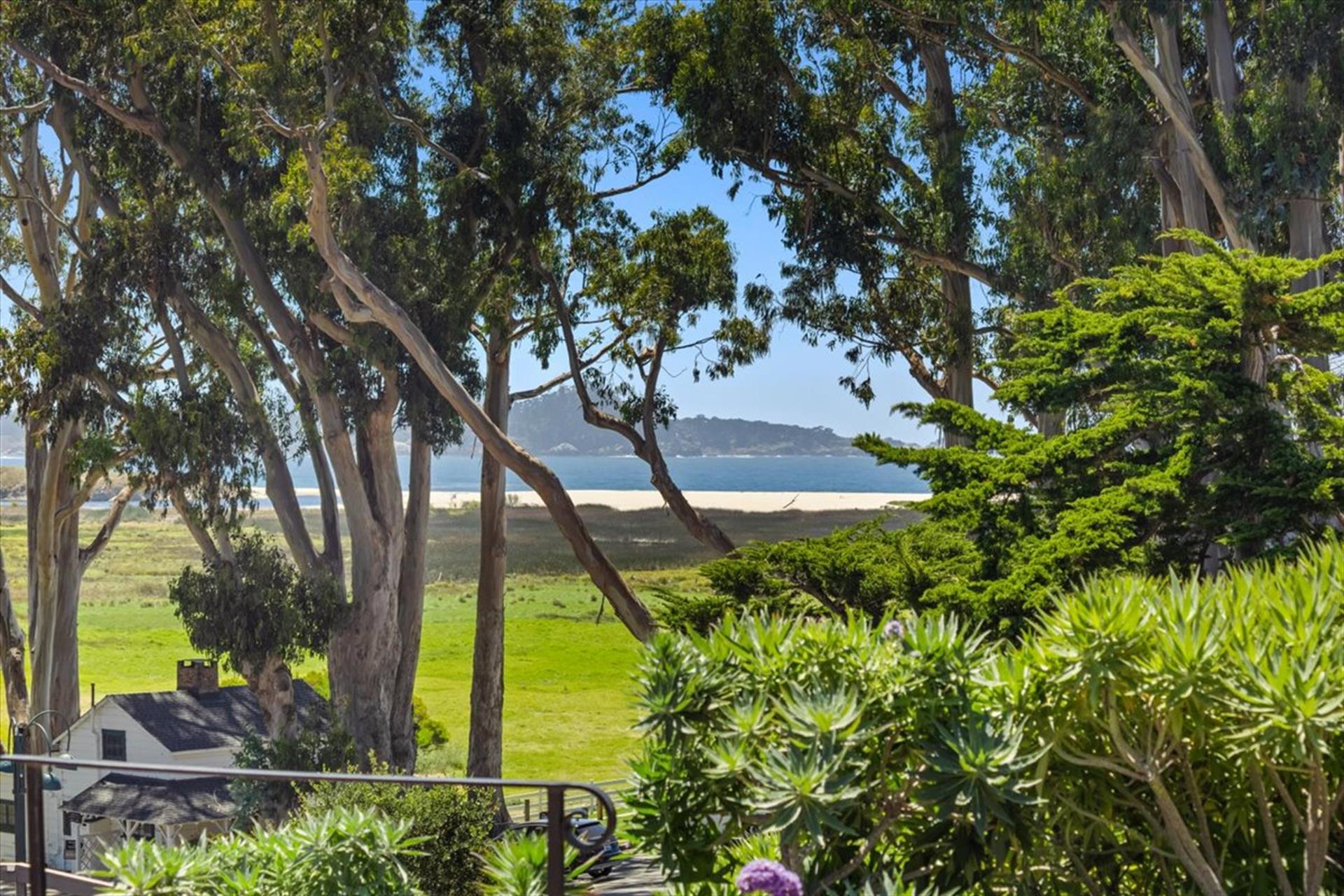 Views of Carmel River Beach, Mission Ranch and Point Lobos