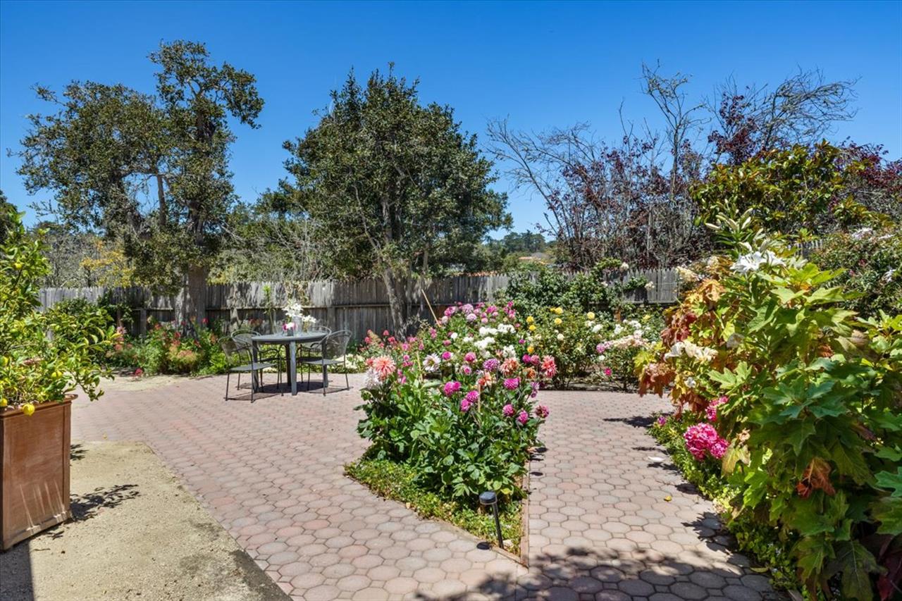 Back Yard  Smell All the Roses