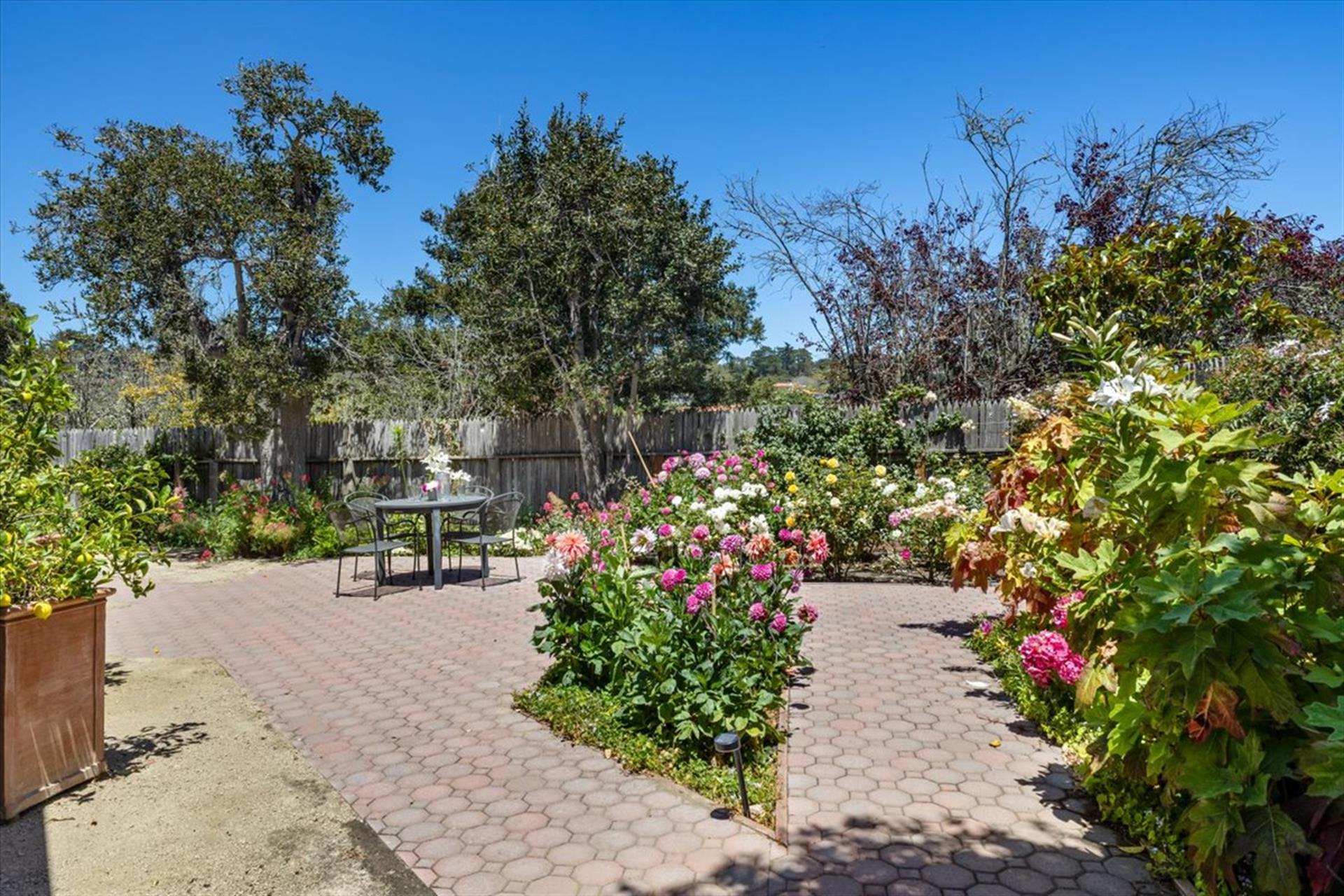 Back Yard  Smell All the Roses