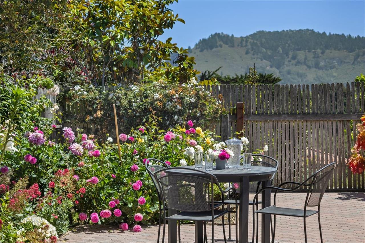 Dahlias Blooming in July, Views of Nearby Coastal Mountains