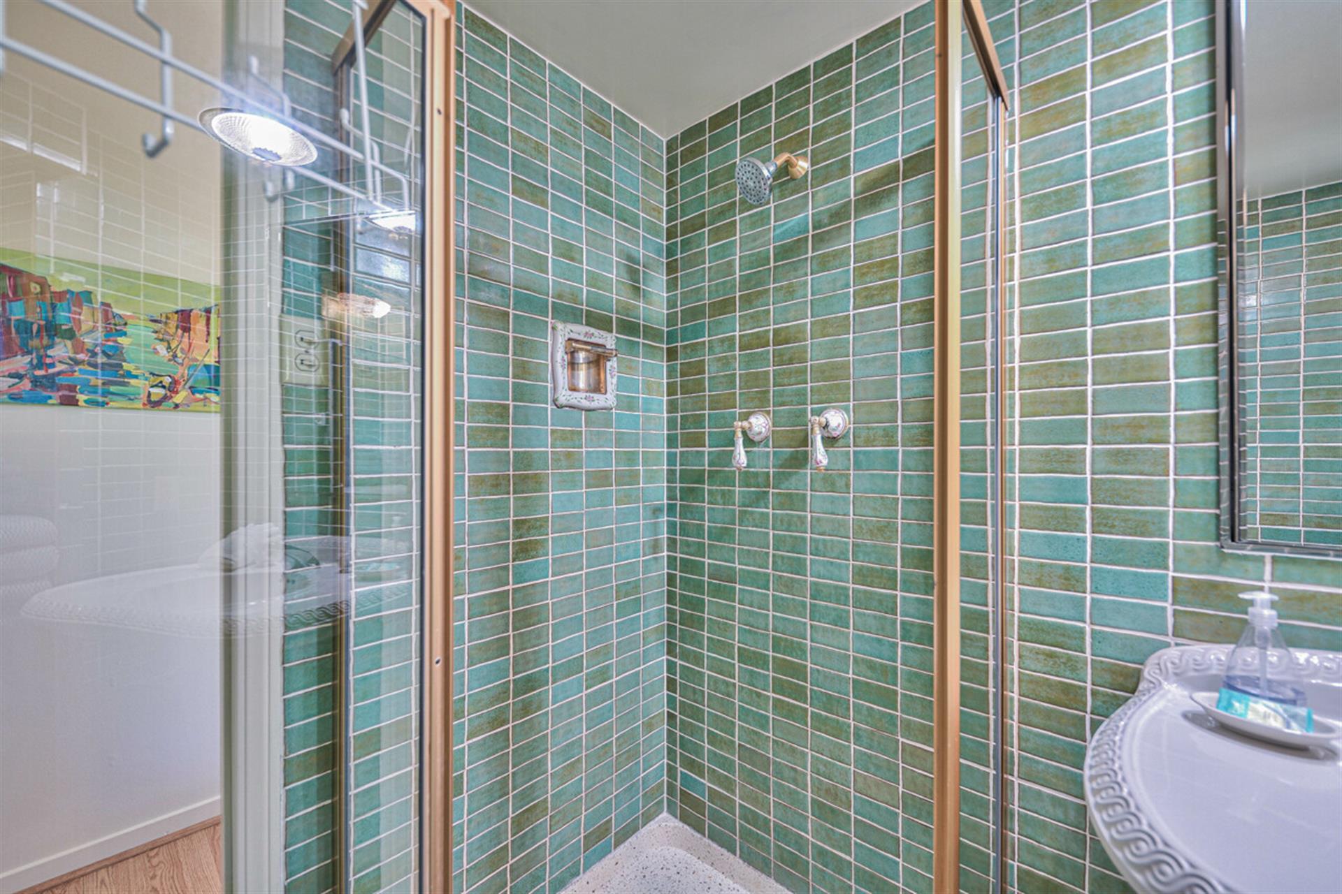 Hall Bathroom with Custom Tile, Standing Shower