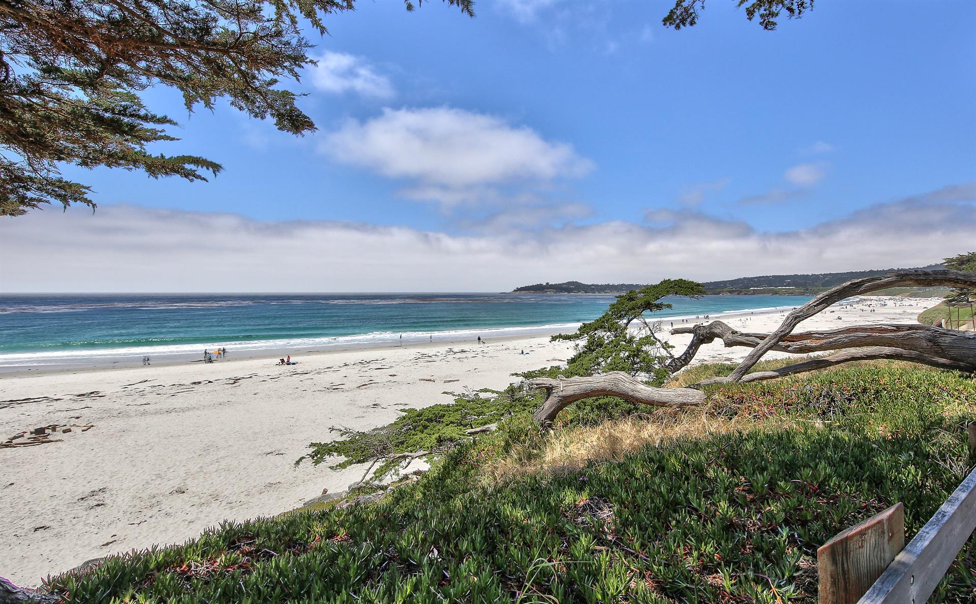 Scenic Beach Trail and Nearby Access to Miles of Sandy Beach