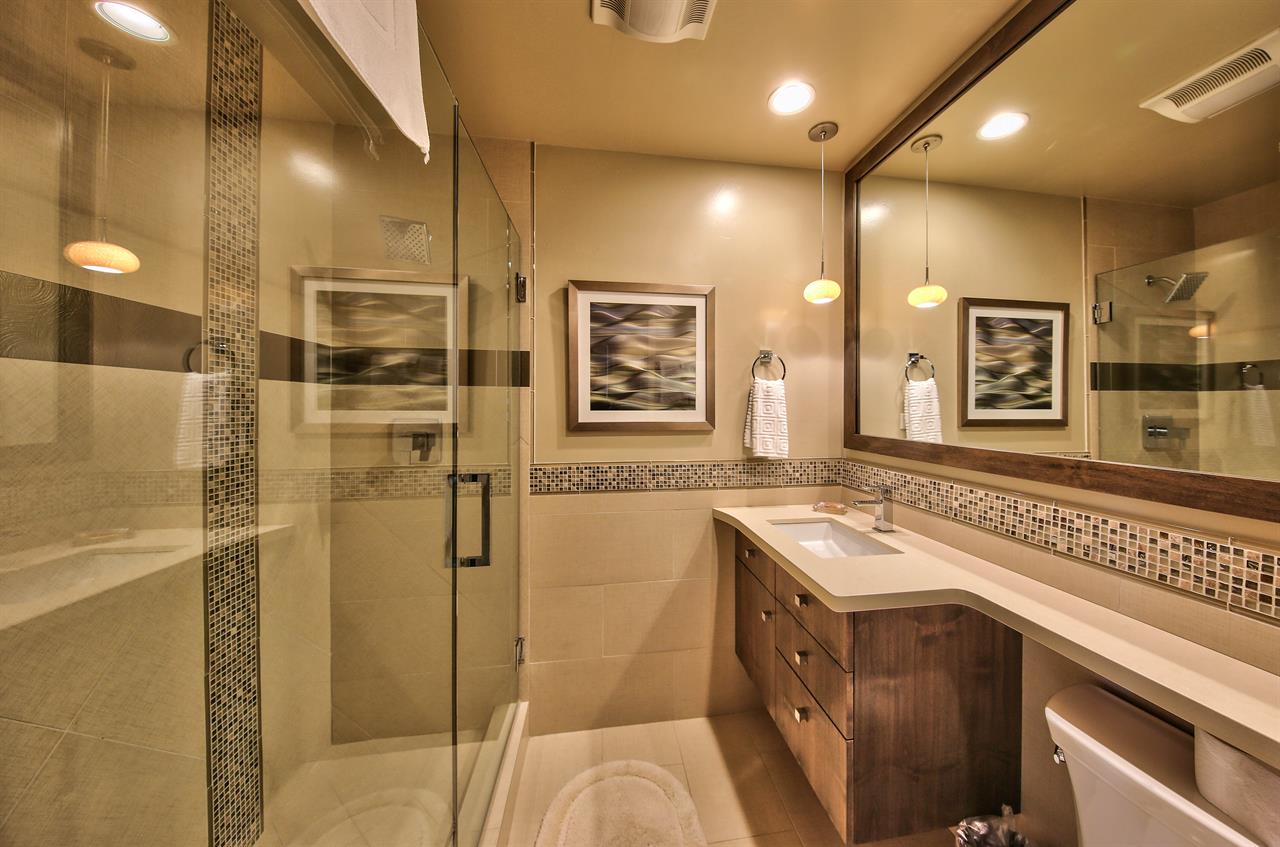 Updated Hall Bathroom with Standing Shower