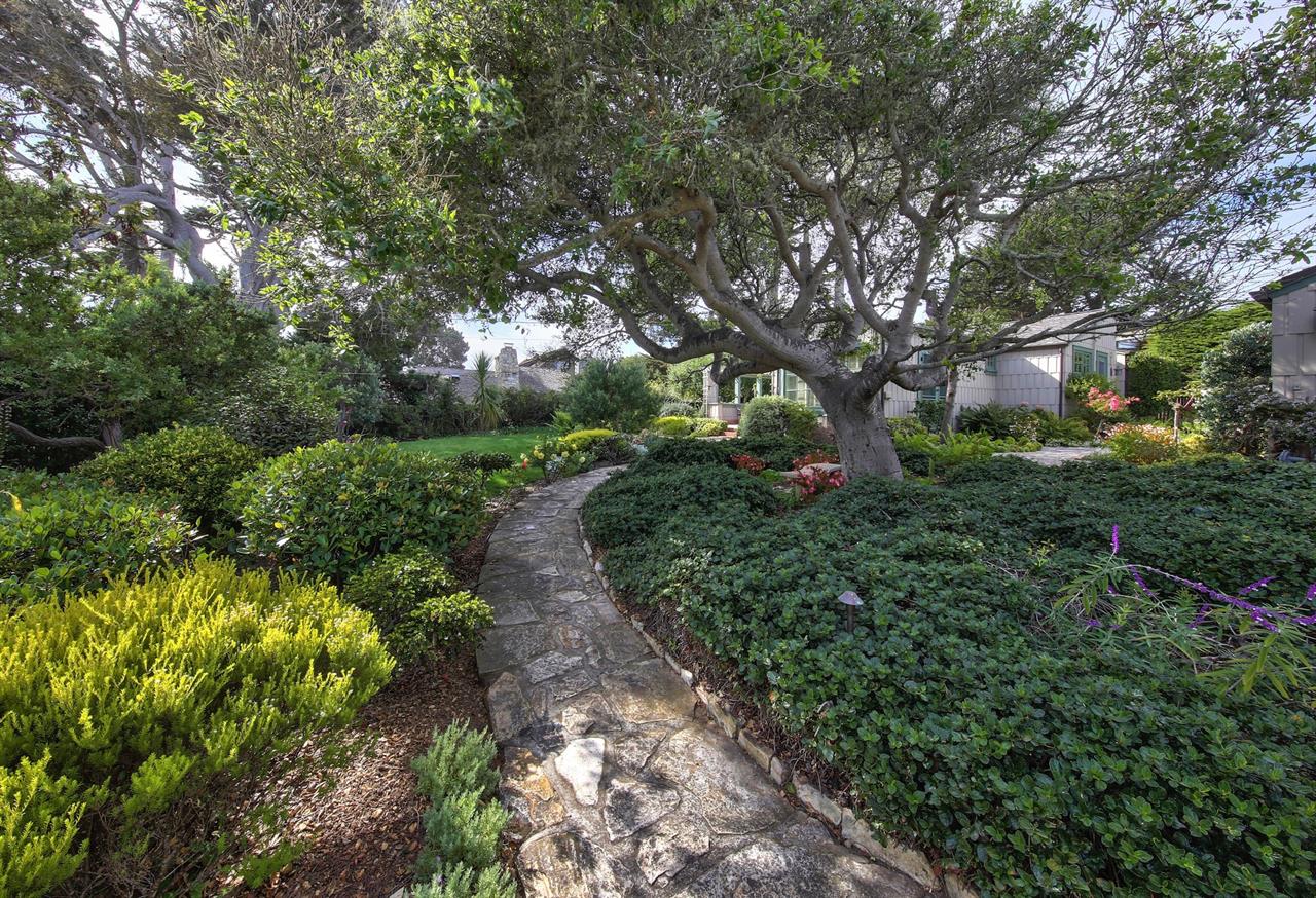 A Stone Path Meanders Through the Large Lot