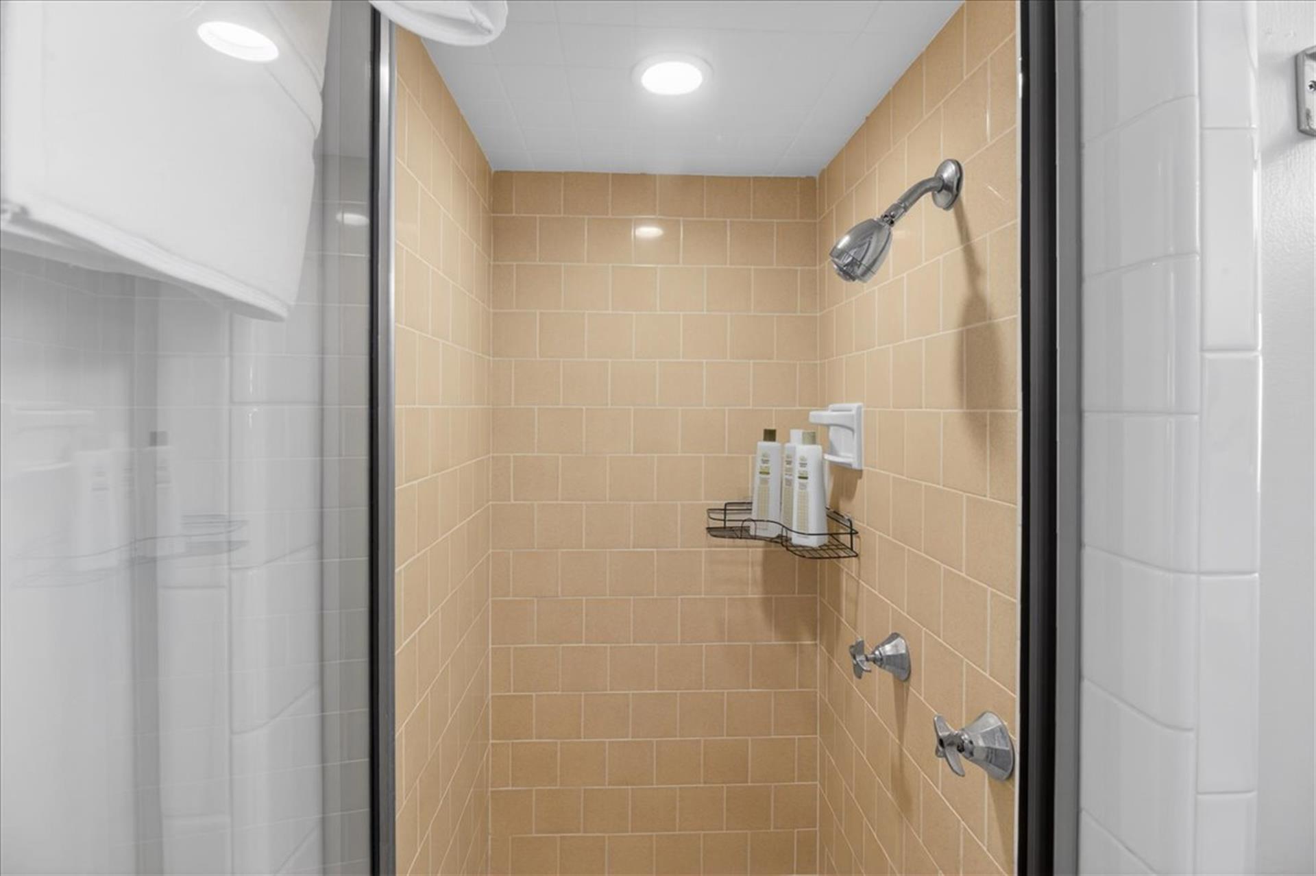 One of Two First Floor Bathrooms, Standing Shower