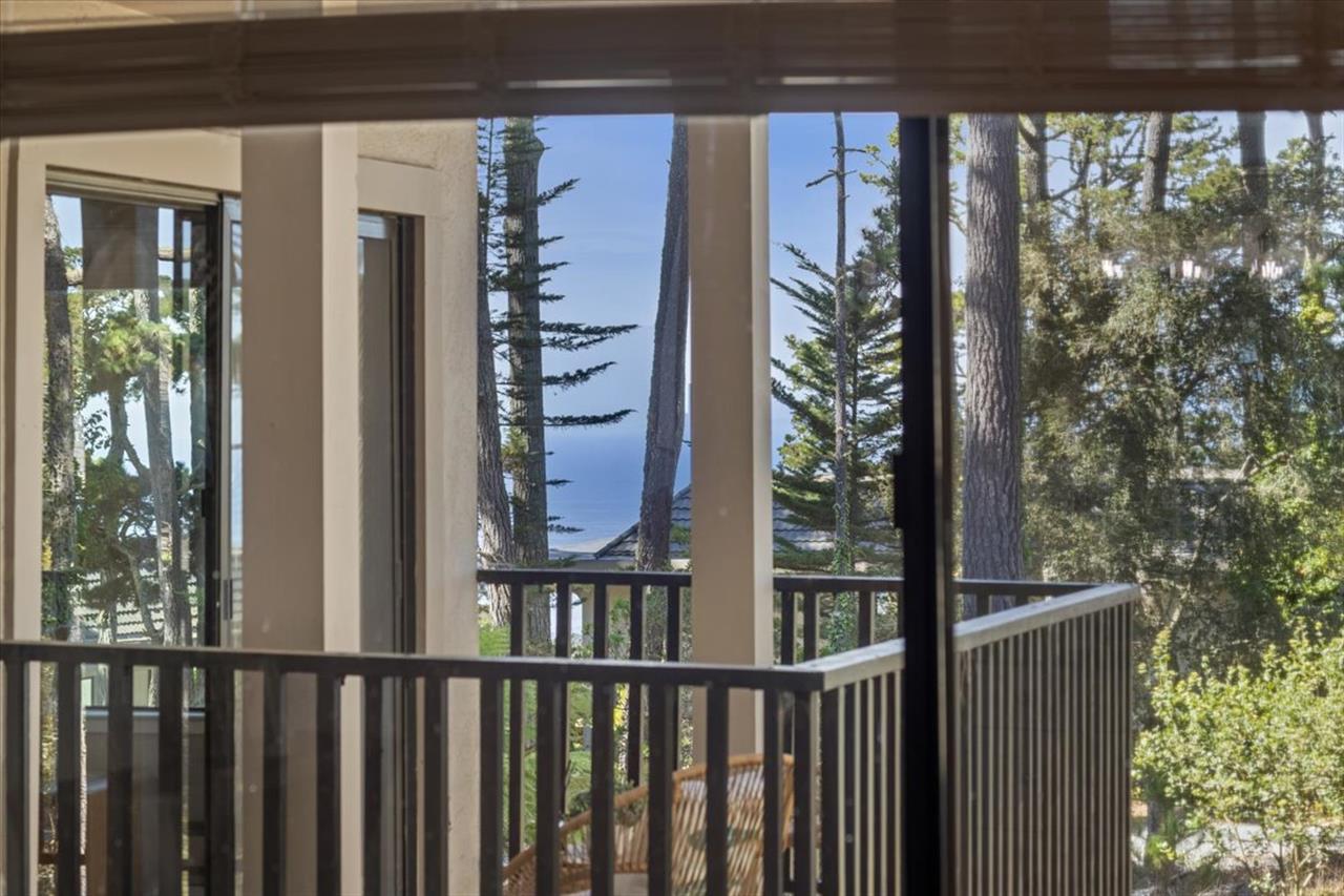 Peaceful Views of the Forest and Distant Ocean