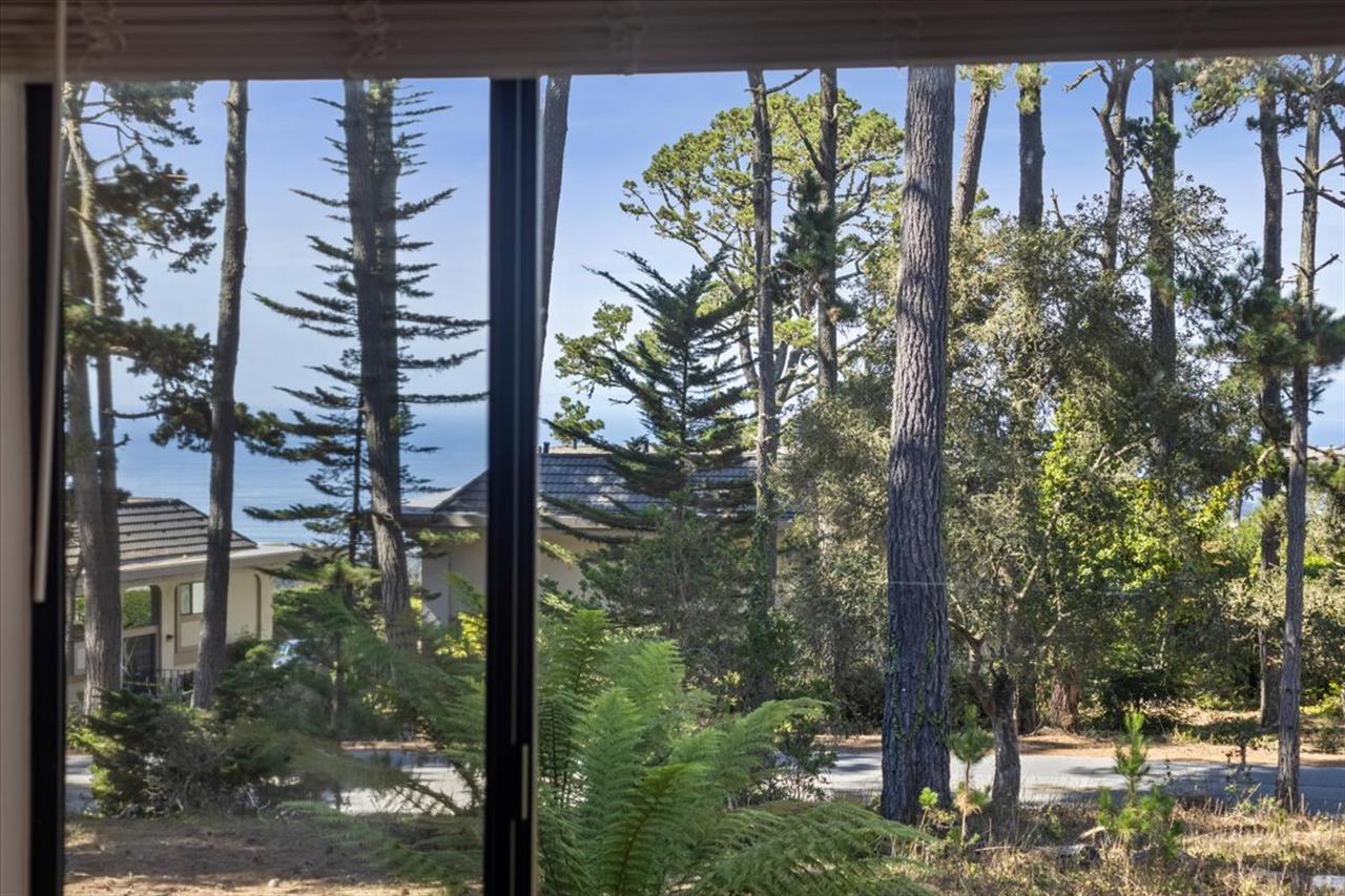 Balcony  View of Green Space, Forest and Distant Ocean View