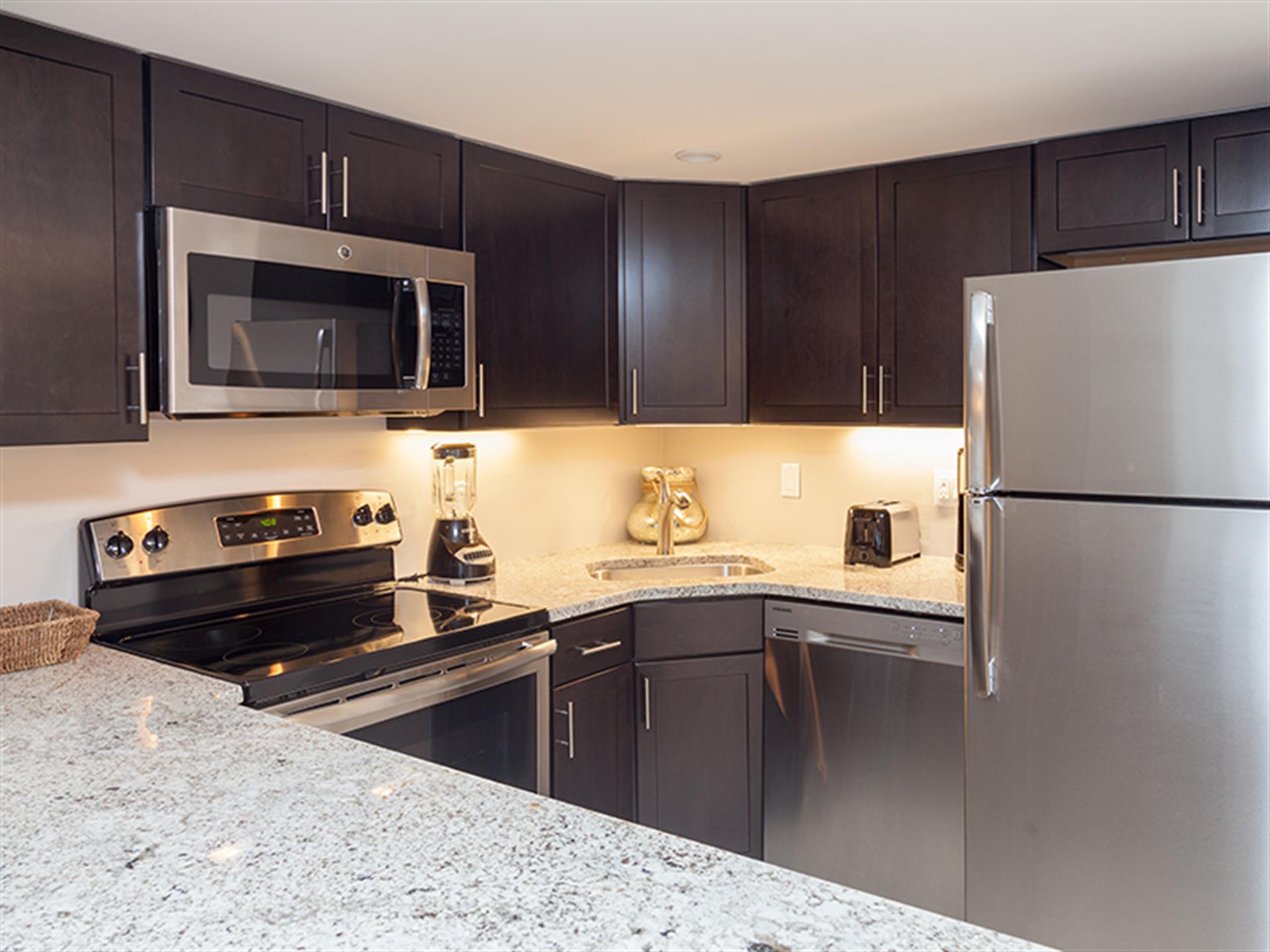 HSRC 519 Kitchen With Stainless Steel Appliances