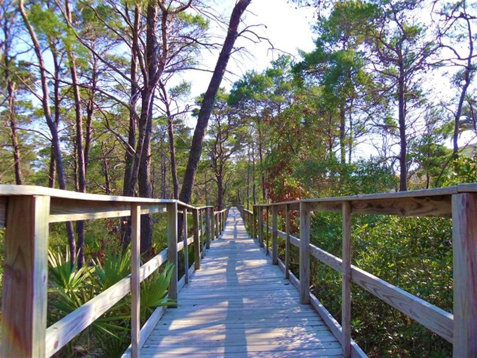Preserve Trail Walk to the Beach