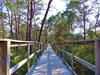 Preserve Trail Walk to the Beach