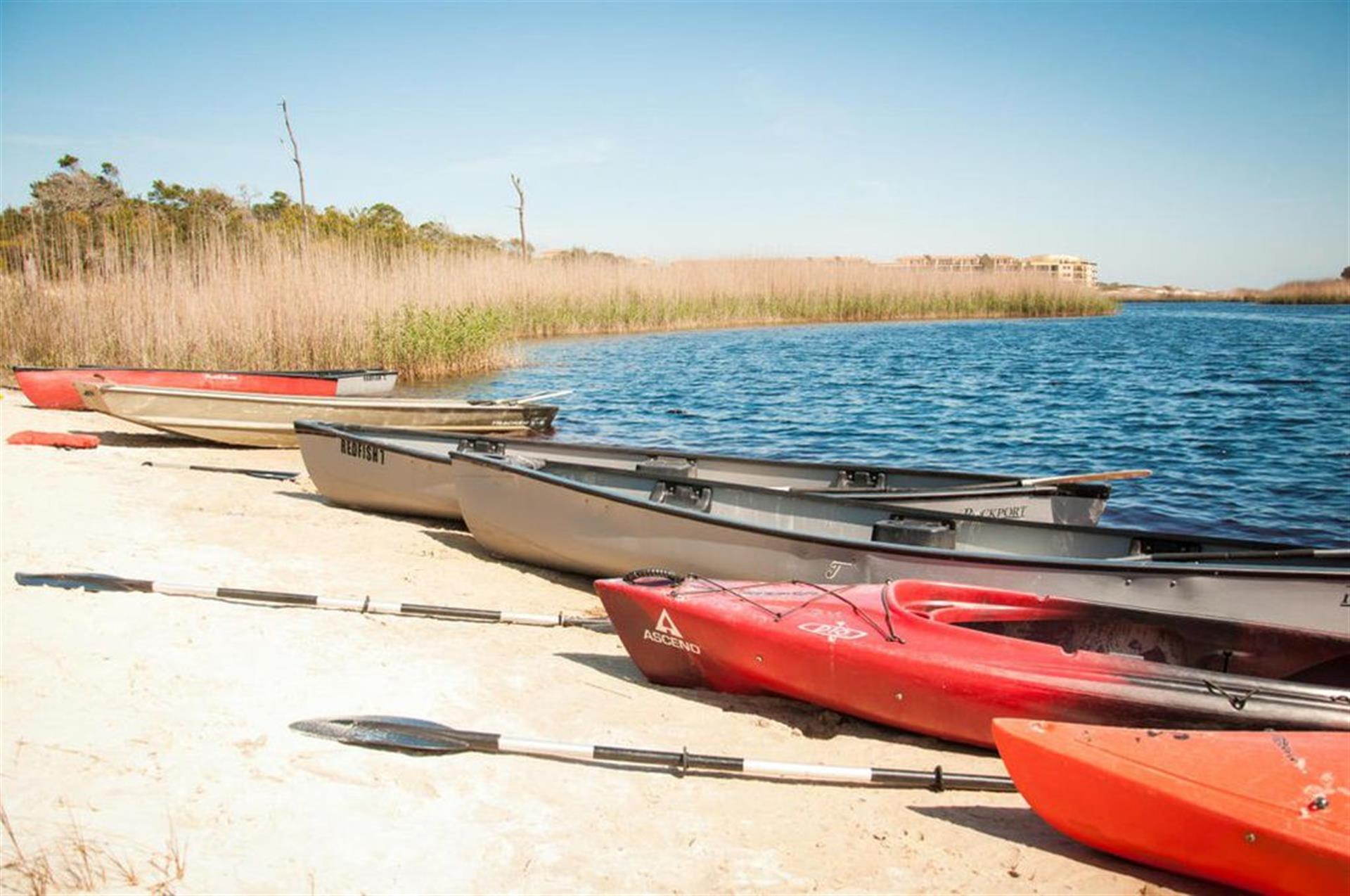Bring Your Paddle Board or Kayak