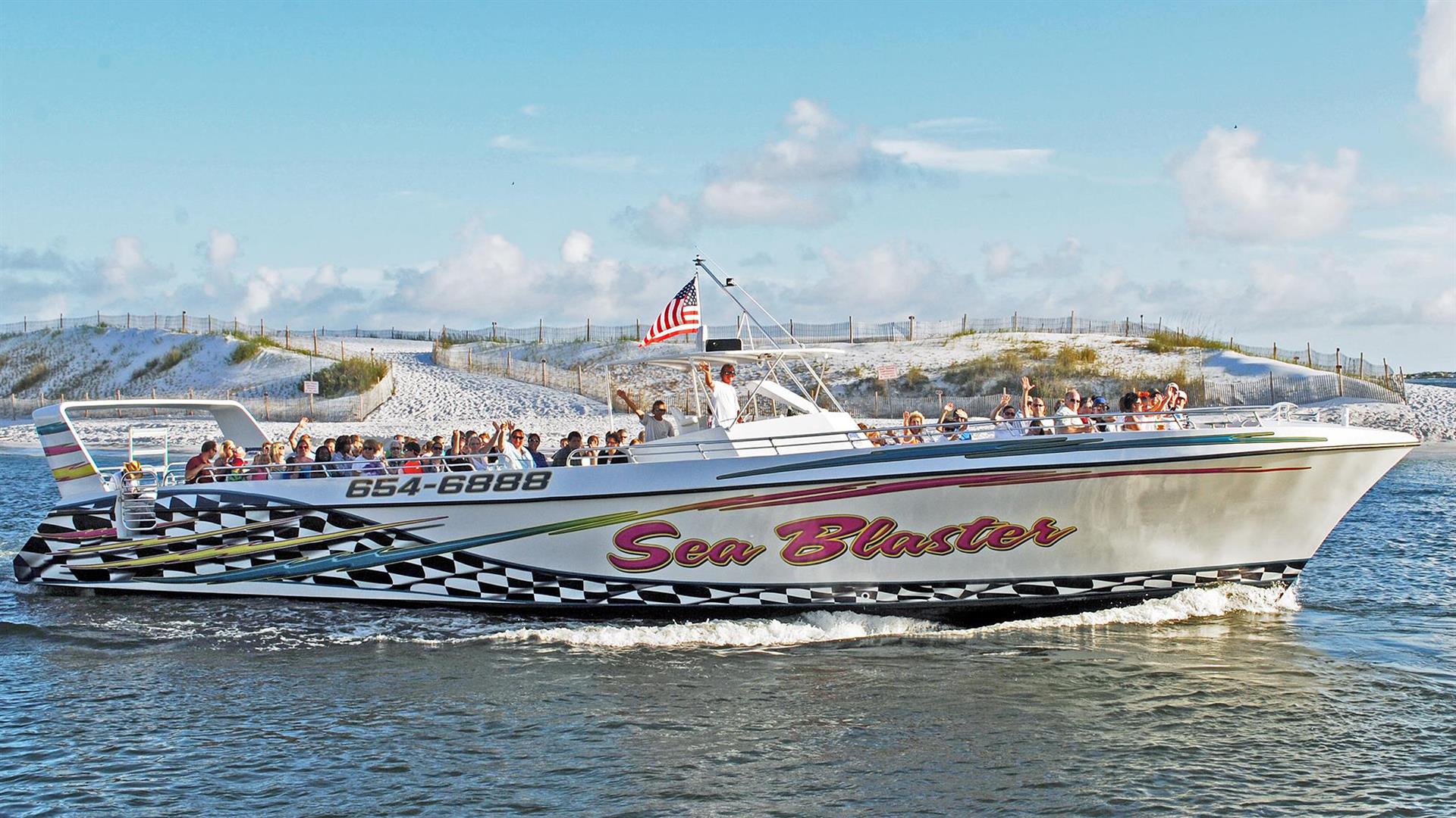1 FREE adult ticket for Dolphin Cruise seasonal