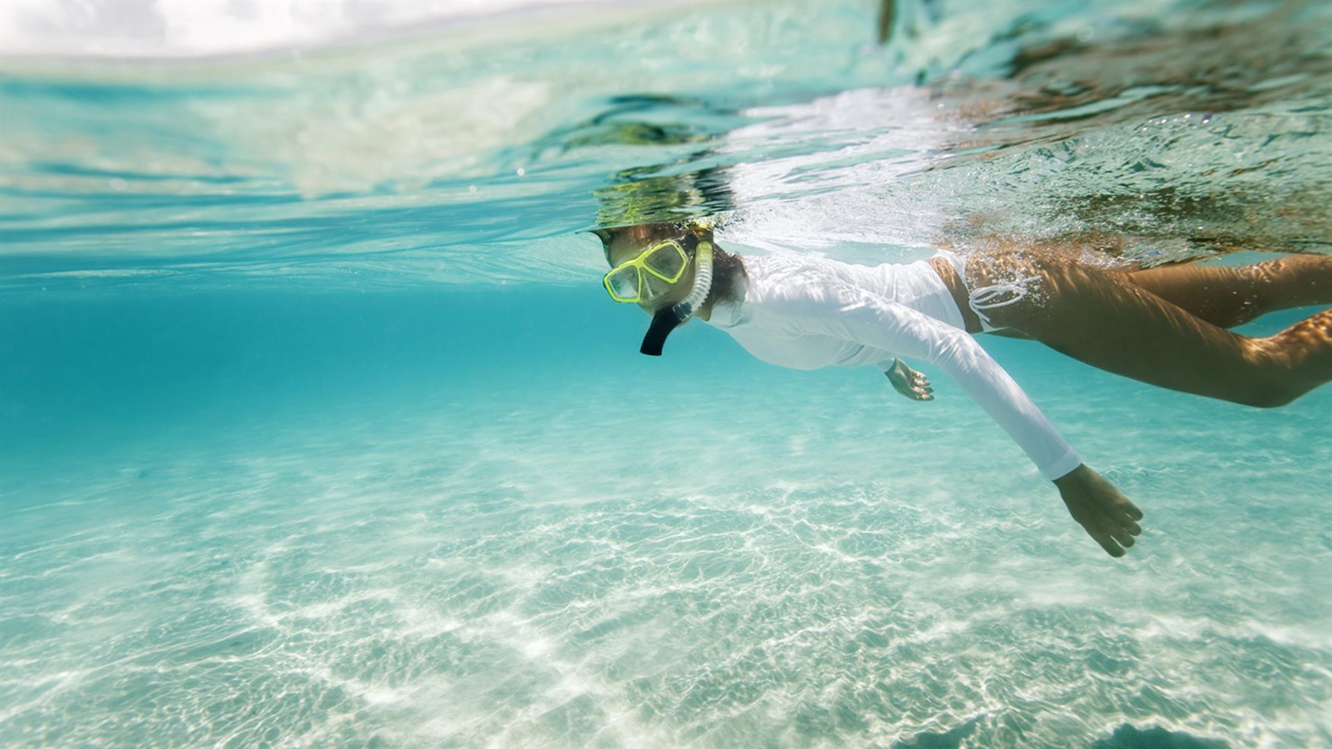 1 FREE adult ticket for Snorkeling
