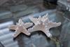 Starfish Decor