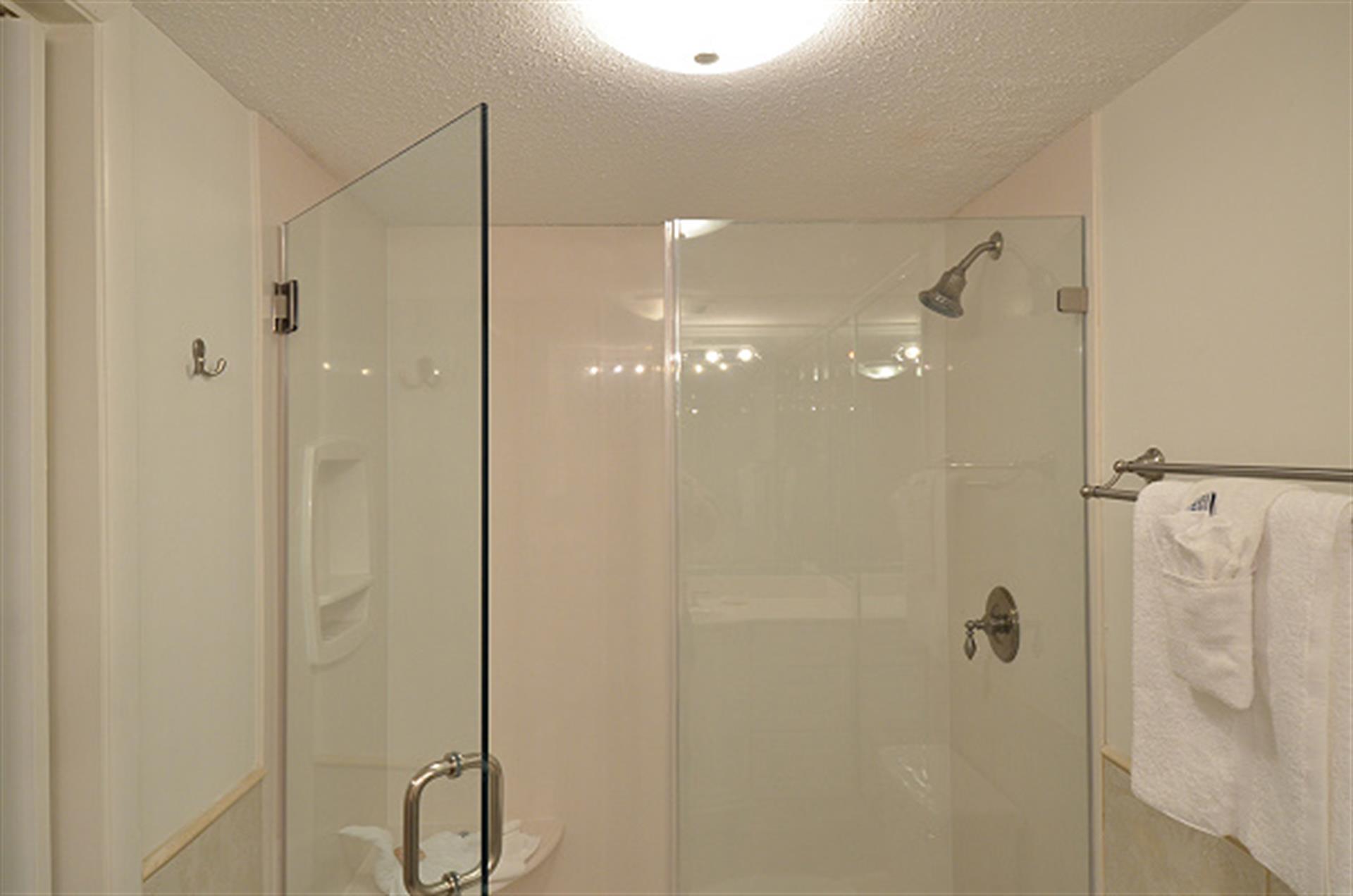 Master Bathroom Shower