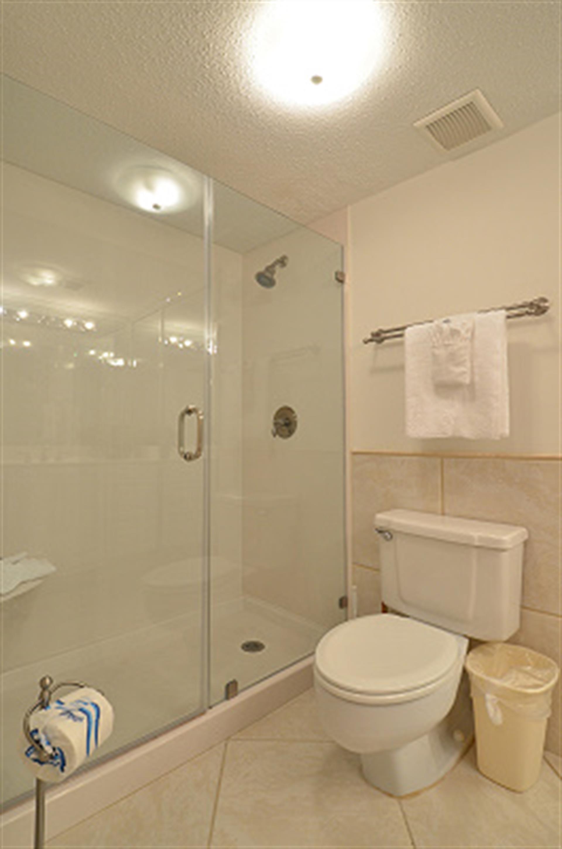 Master Bathroom View 2