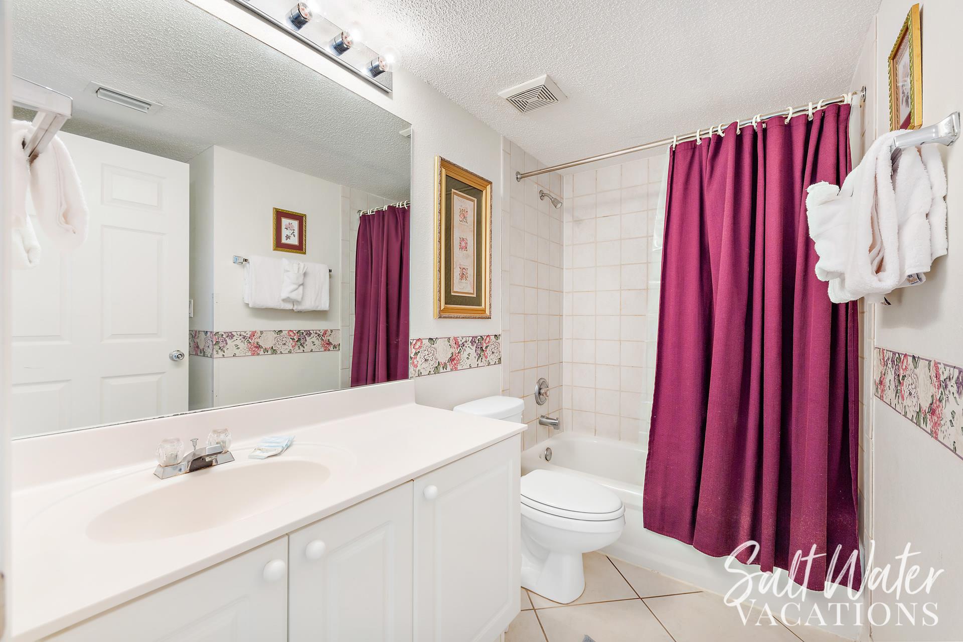 Guest Bathroom View 1