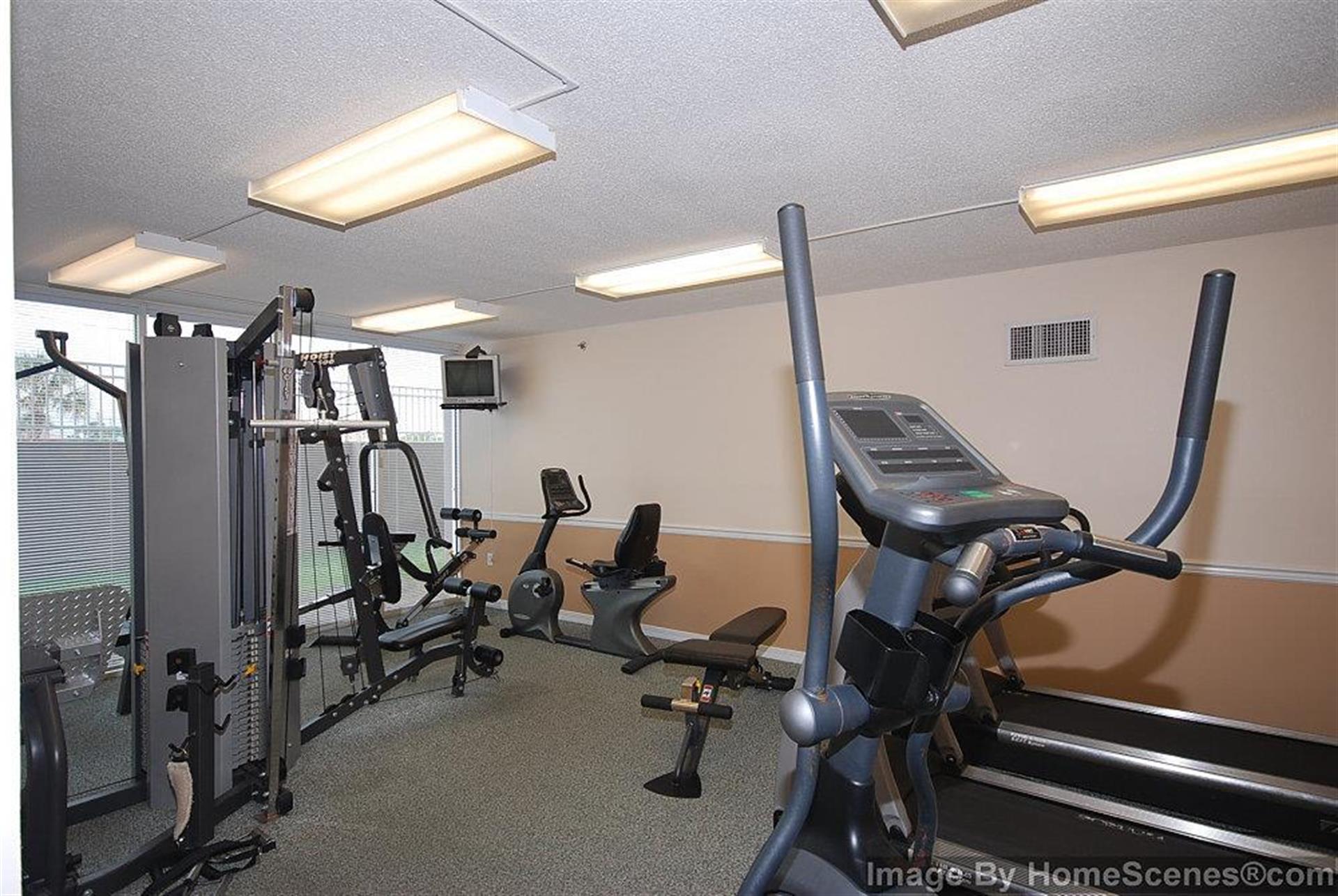 Island Princess Fitness Room