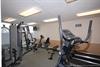 Island Princess Fitness Room