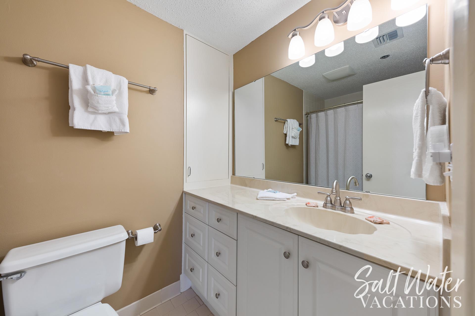 Master Bathroom View 2